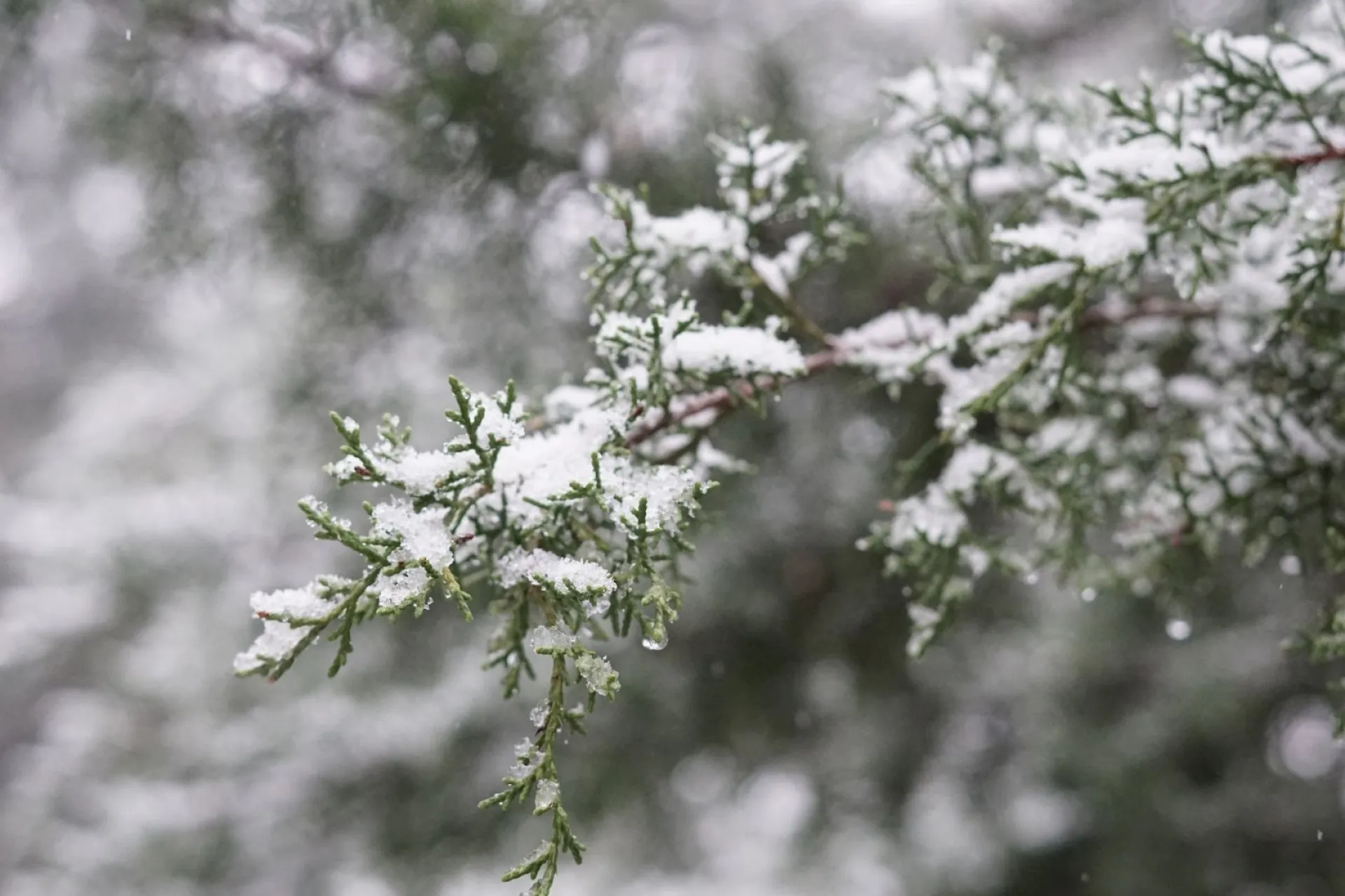 Прокопьев день: традиции и приметы на 5 декабря Прокопьев день: традиции и приметы на 5 декабря
