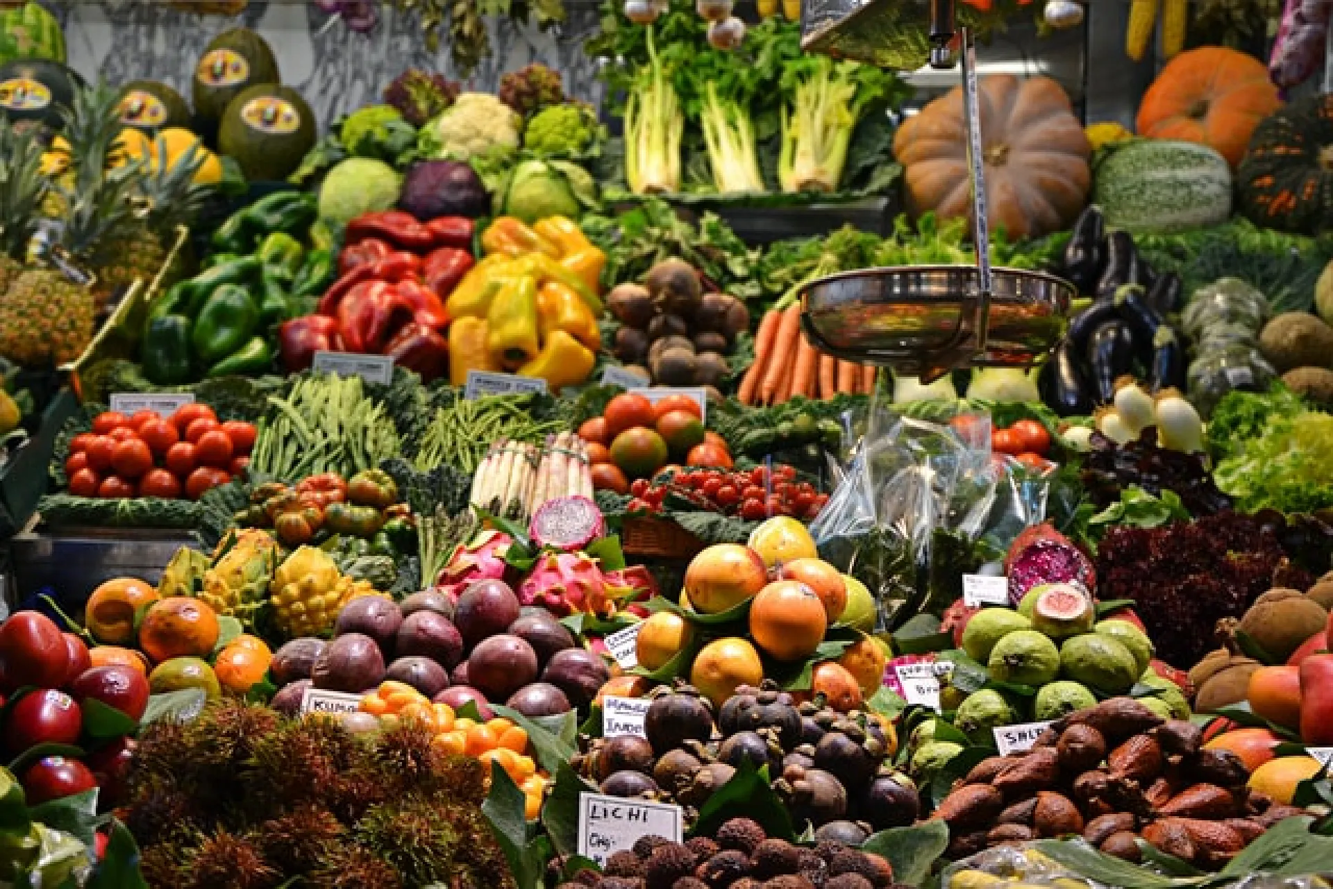 Диетолог назвала самые полезные для почек продукты Диетолог назвала самые полезные для почек продукты