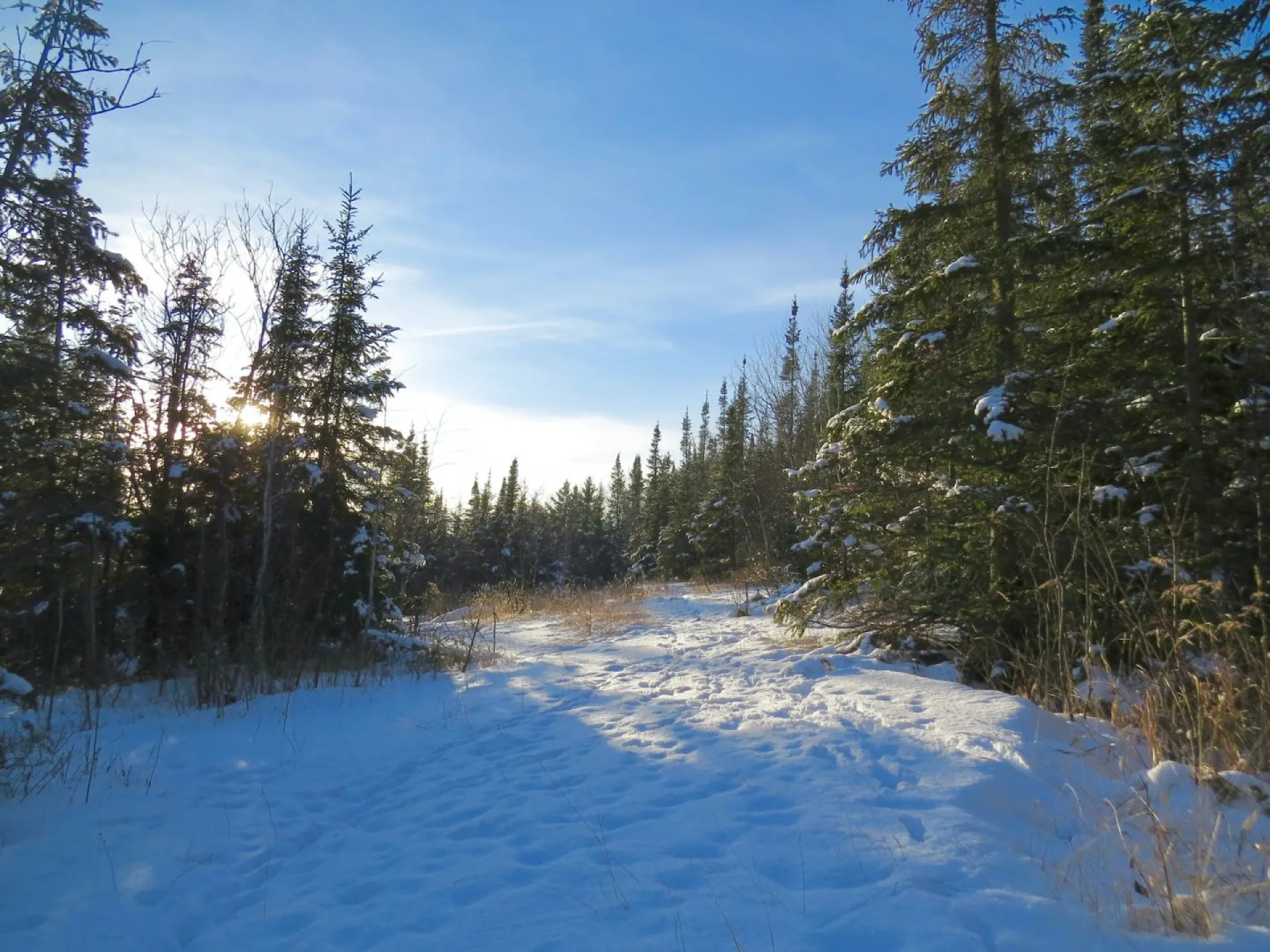 Ефимов день: традиции и приметы на 2 февраля Ефимов день: традиции и приметы на 2 февраля