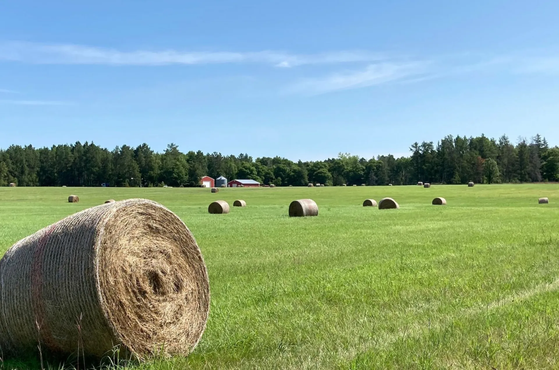 Ермолаев день: традиции и приметы на 8 августа Ермолаев день: традиции и приметы на 8 августа