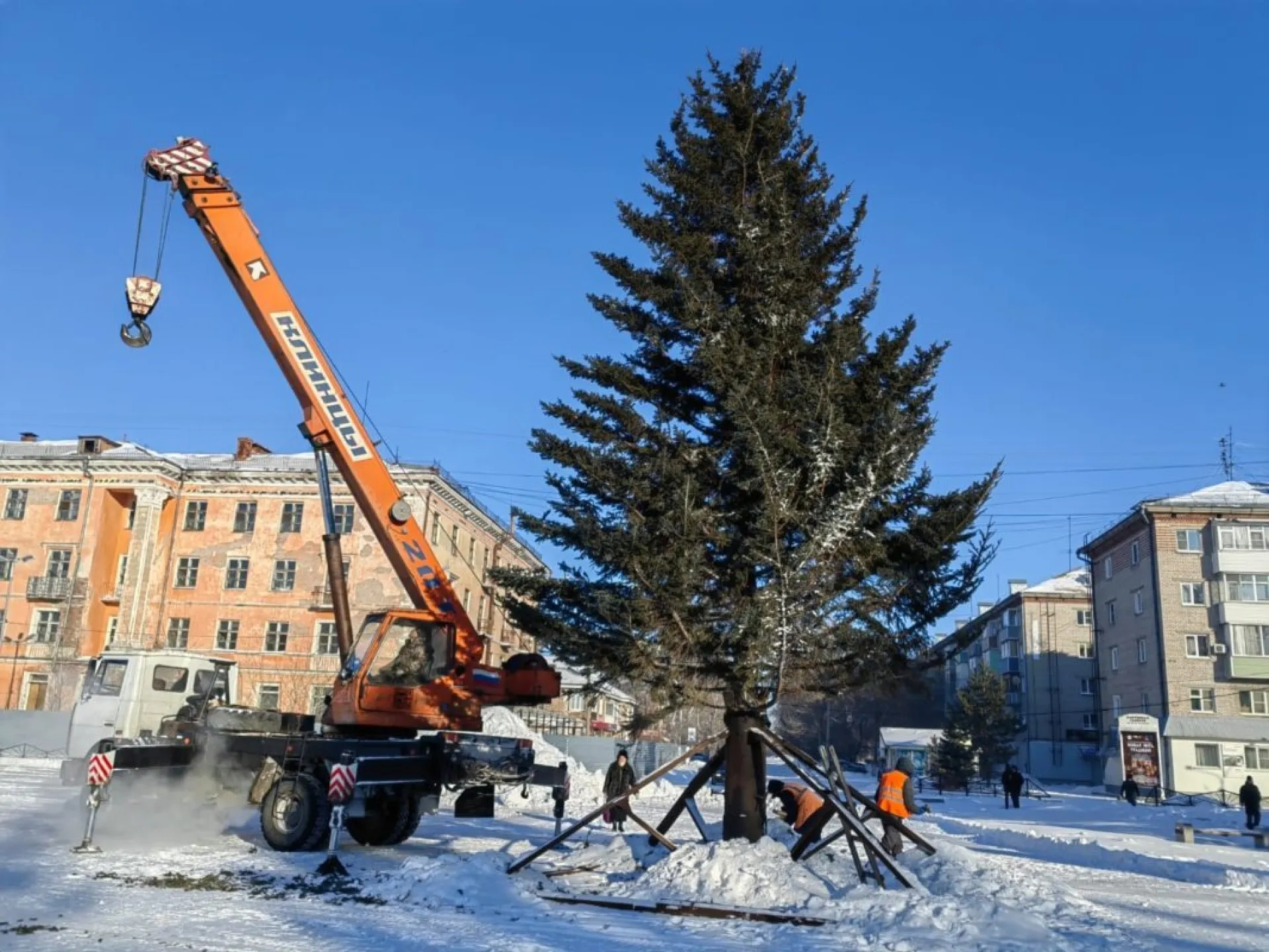 Главную городскую елку установили в Рубцовске