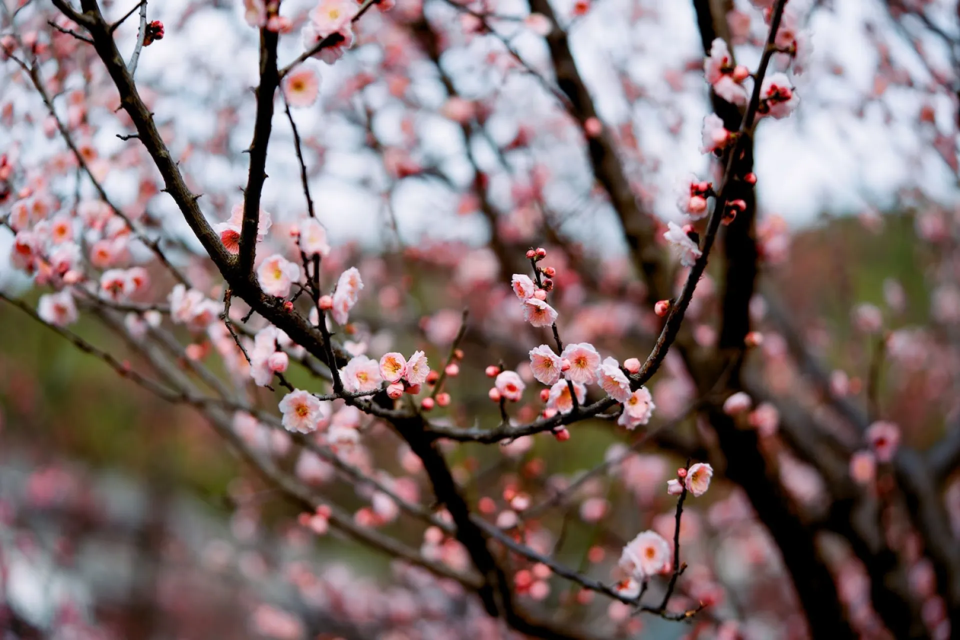 Николай Чудотворец: традиции и приметы на 22 мая Николай Чудотворец: традиции и приметы на 22 мая