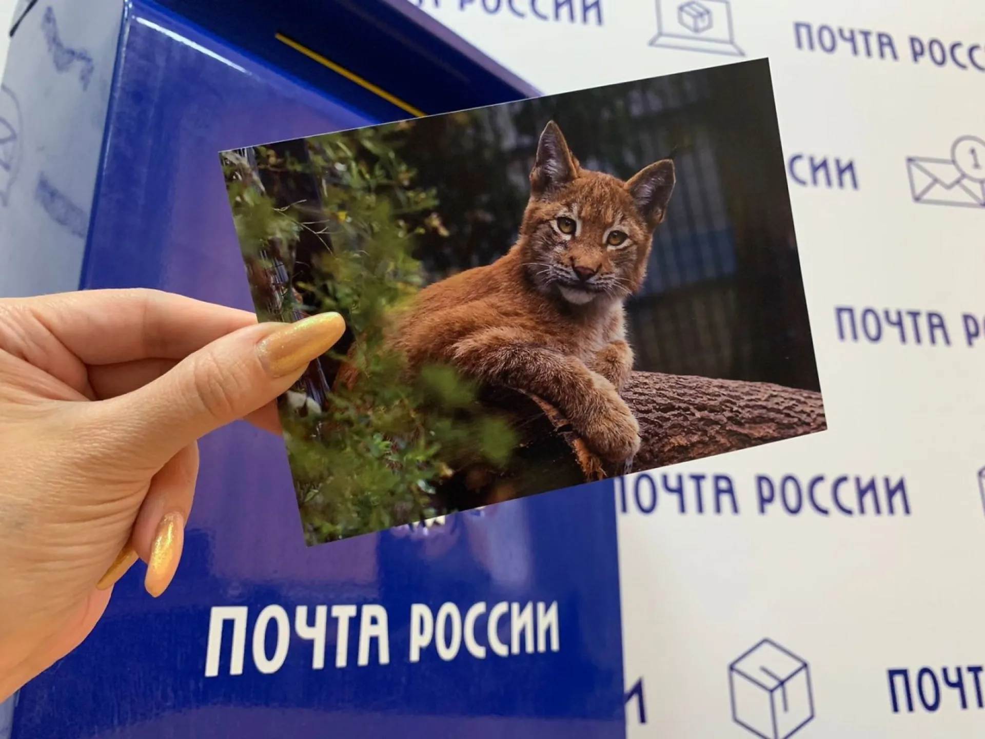 Барнаульцы смогут бесплатно отправить открытки в любую точку России
