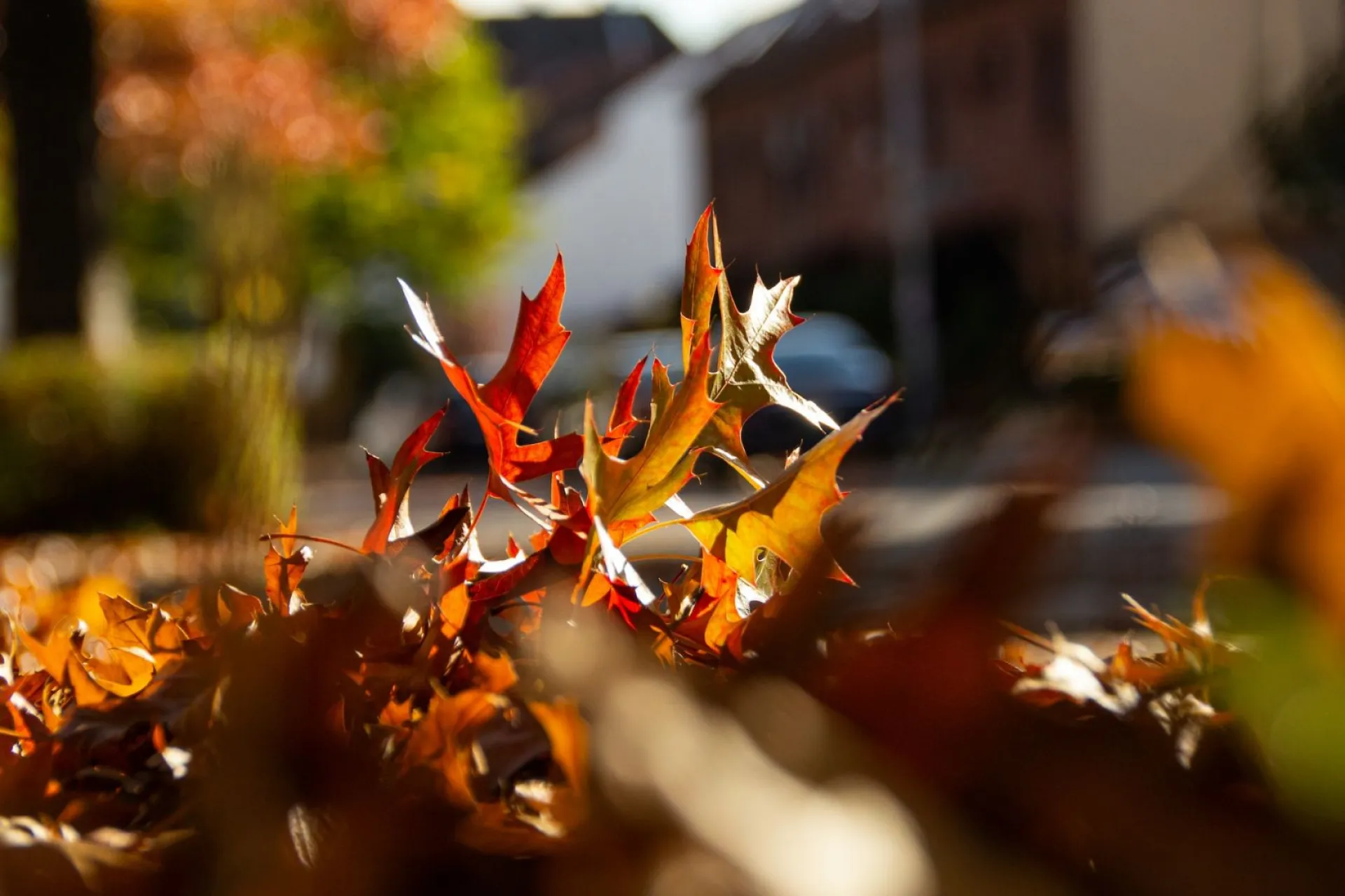 До +6: о погоде в Алтайском крае 29 сентября До +6: о погоде в Алтайском крае 29 сентября