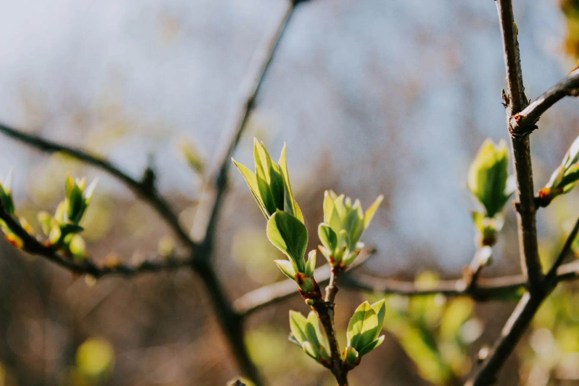 Никита Водопол: традиции и приметы на 16 апреля Никита Водопол: традиции и приметы на 16 апреля
