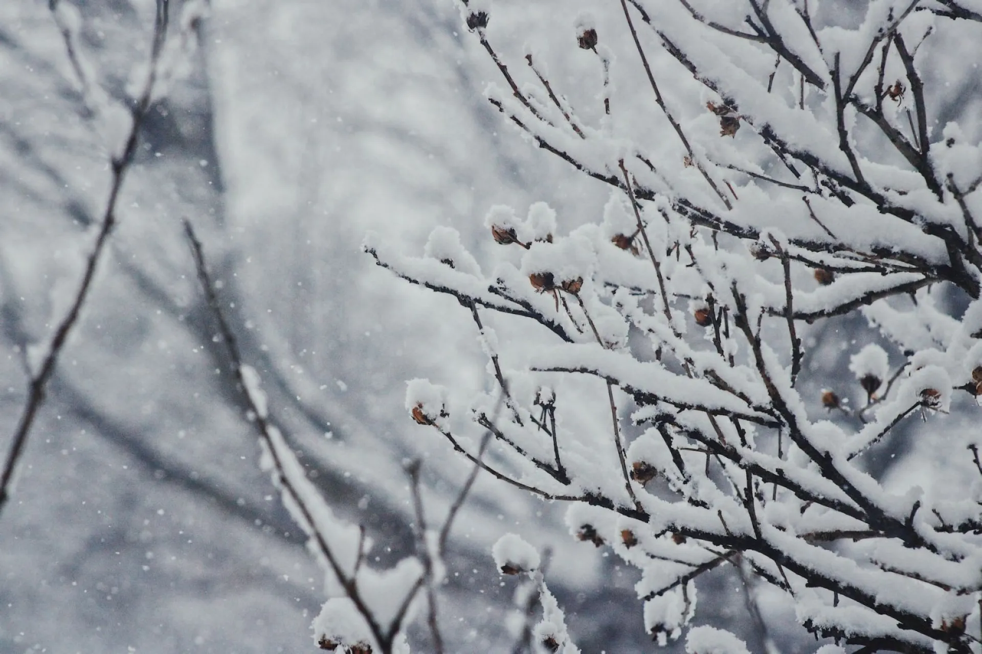 Крещенский сочельник: традиции и приметы на 18 января Крещенский сочельник: традиции и приметы на 18 января