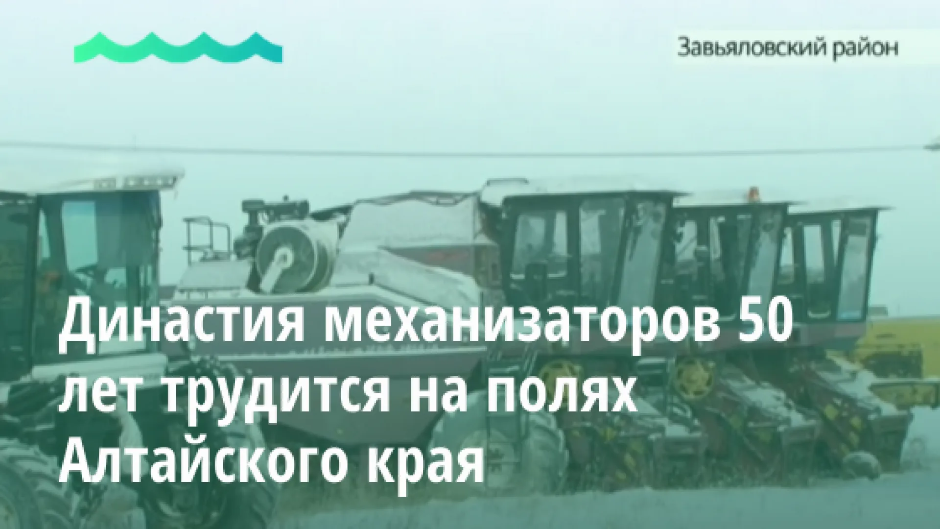 Видео: династия механизаторов 50 лет трудится на полях Алтайского края