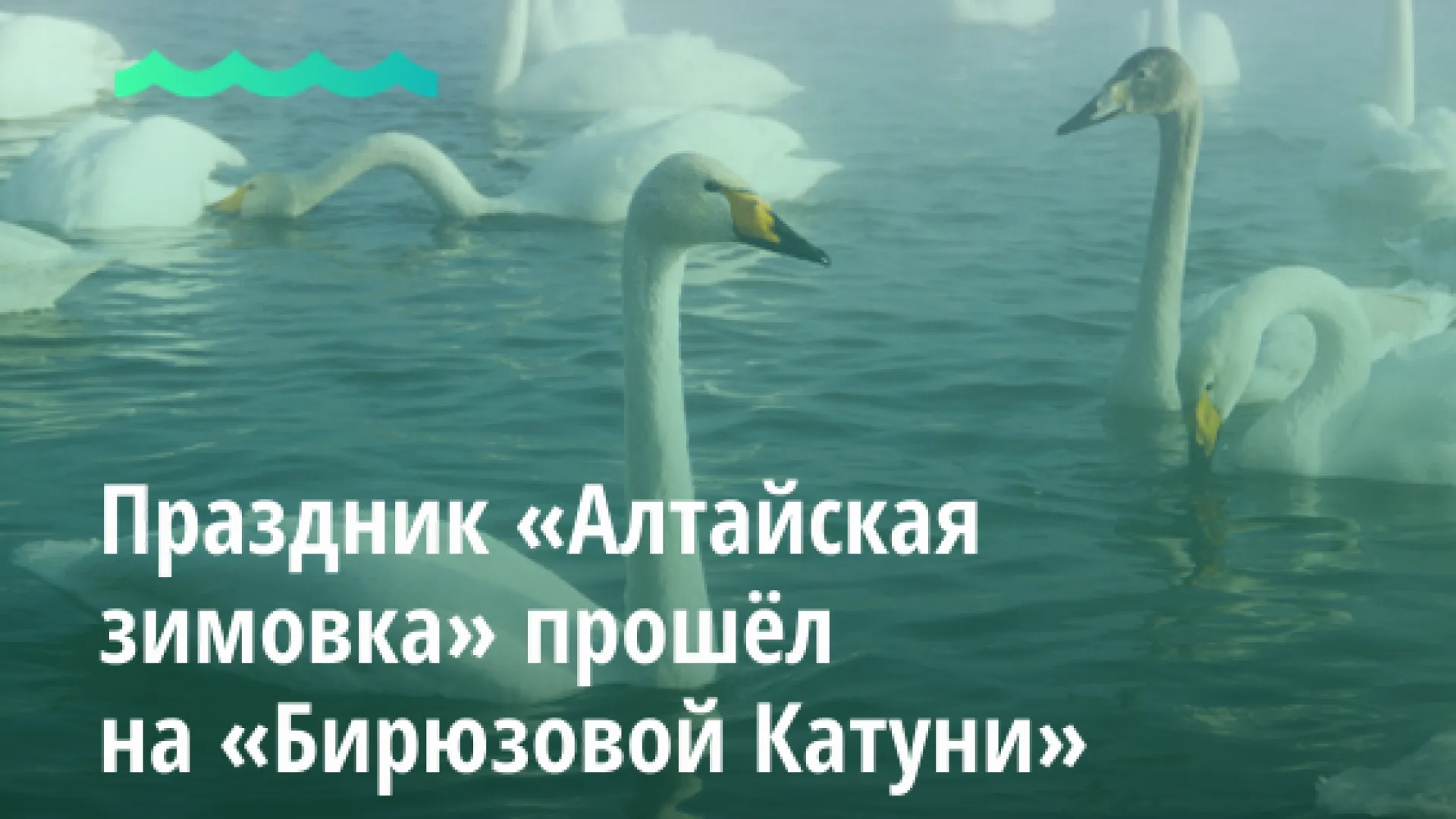 Праздник «Алтайская зимовка» прошёл на «Бирюзовой Катуни»