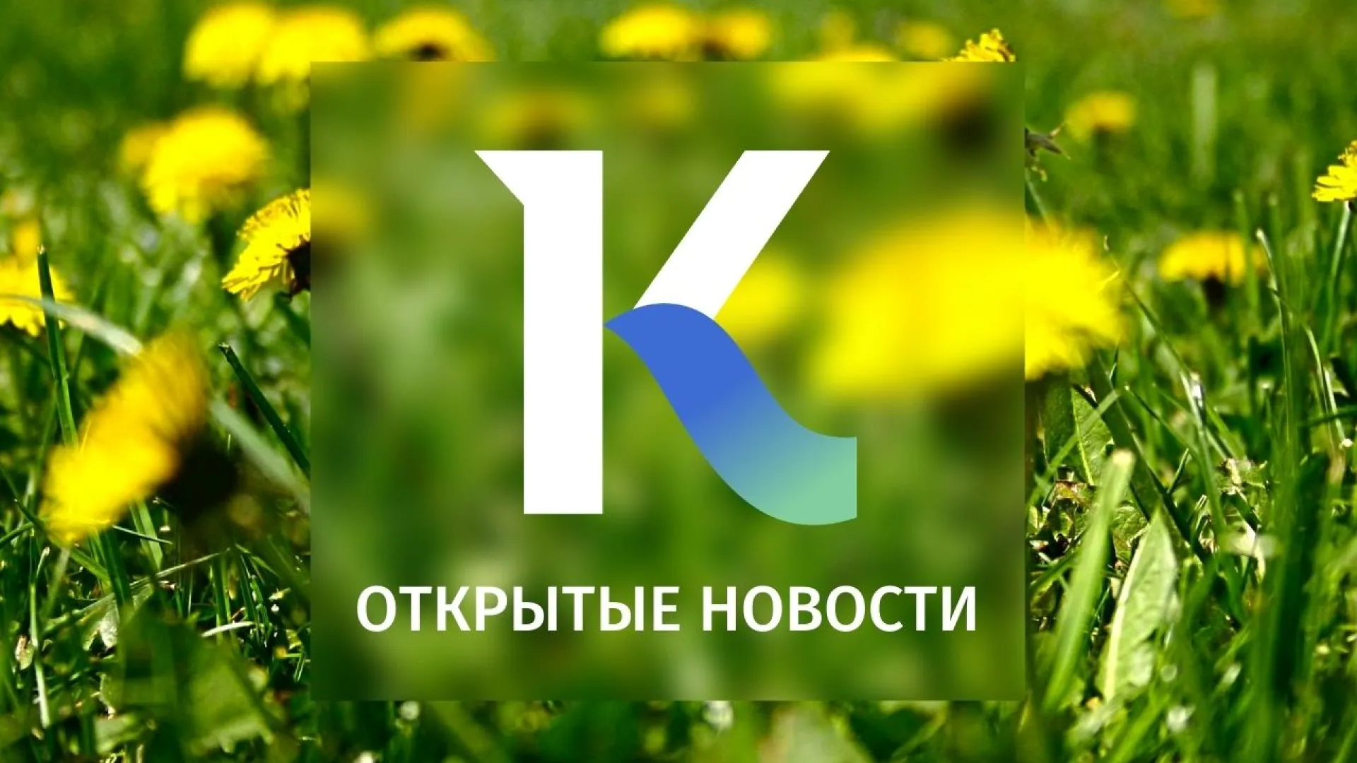 12 уникальных операций проведут в Алтайском крае врачи-урологи из разных городов страны и другие темы в выпуске новостей в 17:00 12 уникальных операций проведут в Алтайском крае врачи-урологи из разных городов страны и другие темы в выпуске новостей в 17:00