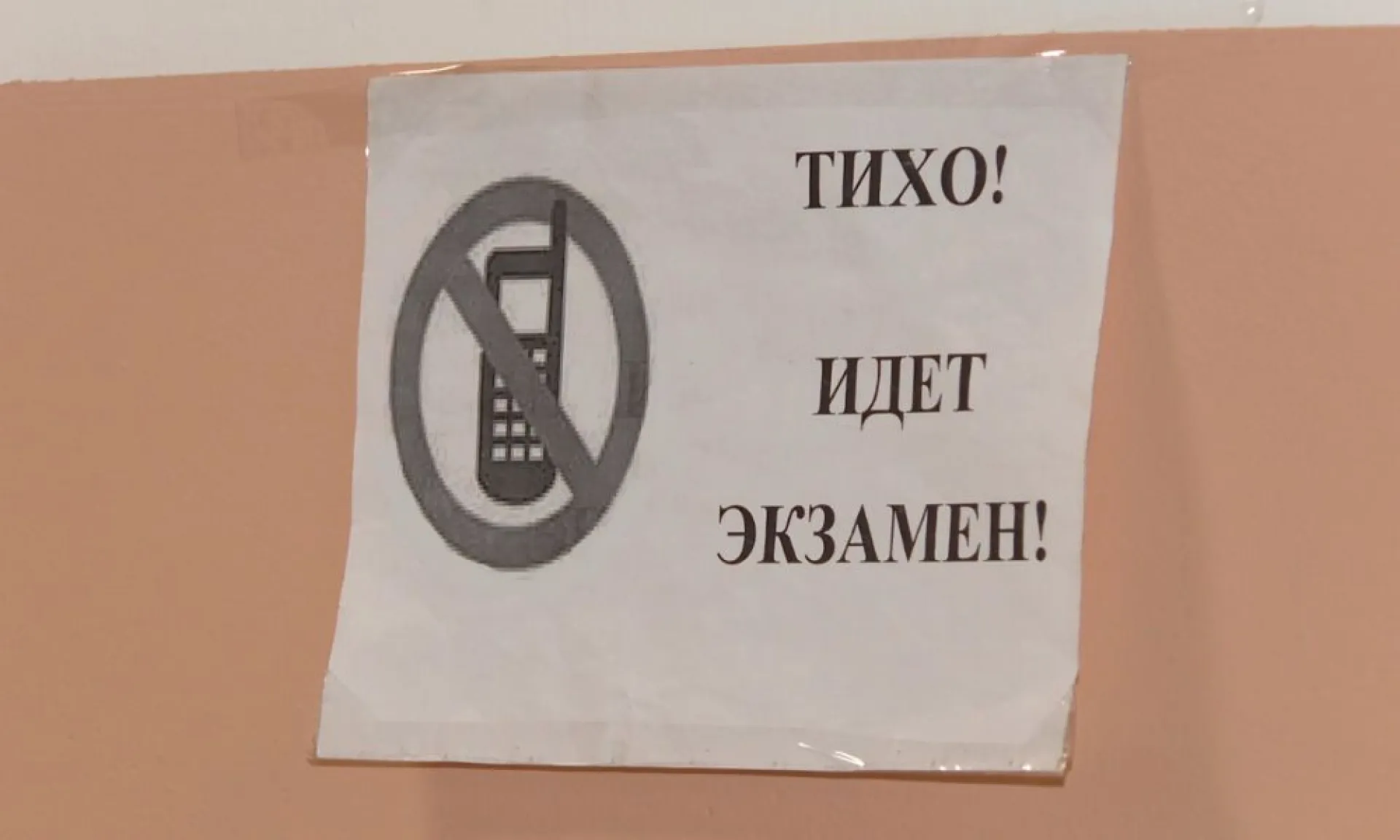 В Алтайском крае стали известны первые стобалльники по итогам ЕГЭ