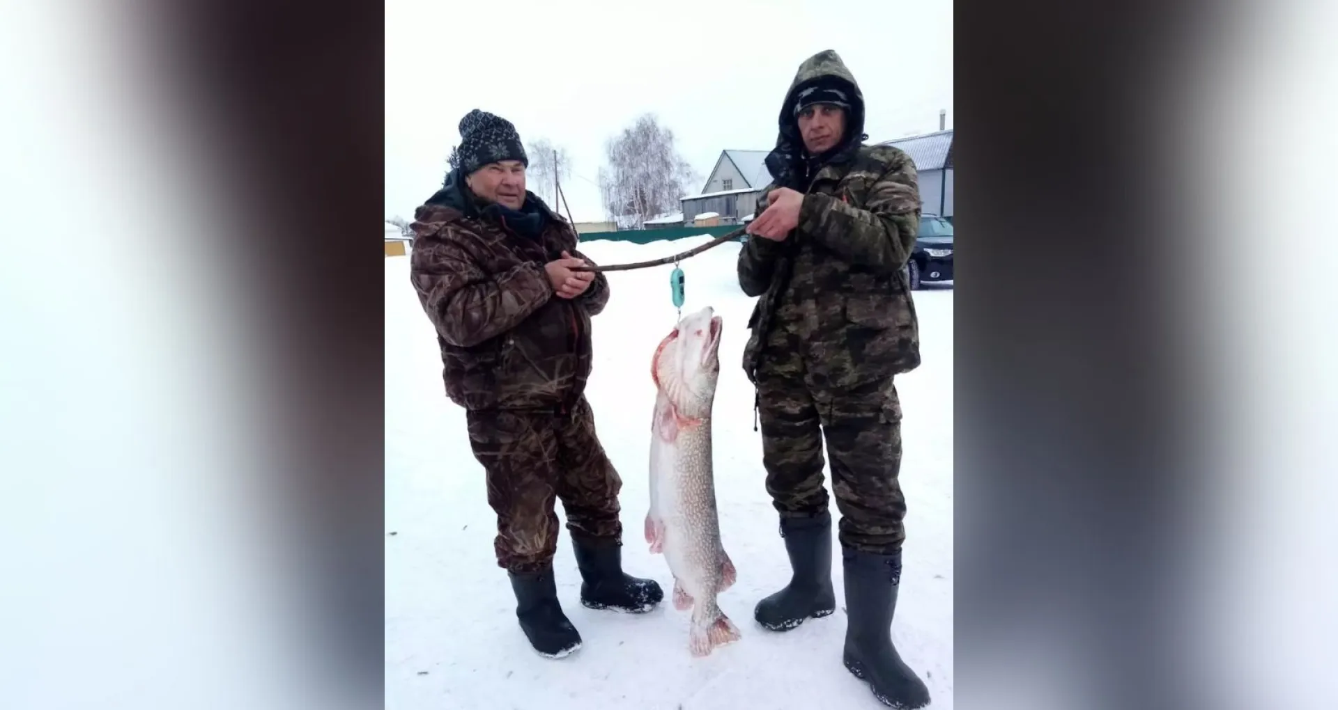 Рыболовы поймали трофейную щуку в Алтайском крае Рыболовы поймали трофейную щуку в Алтайском крае