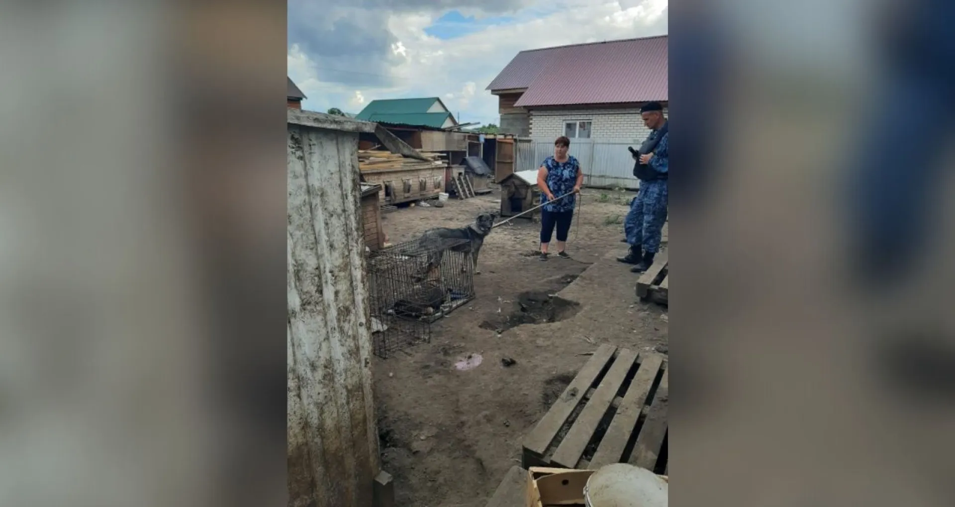 Алтайские приставы вывезли десятки собак из частного дома в приют для животных