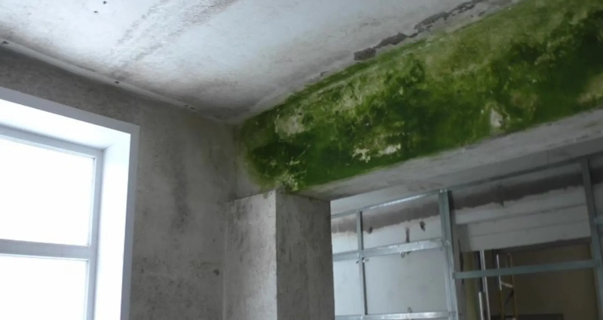 «Просто ужас»: жители села в Алтайском крае жалуются на некачественный ремонт школы «Просто ужас»: жители села в Алтайском крае жалуются на некачественный ремонт школы