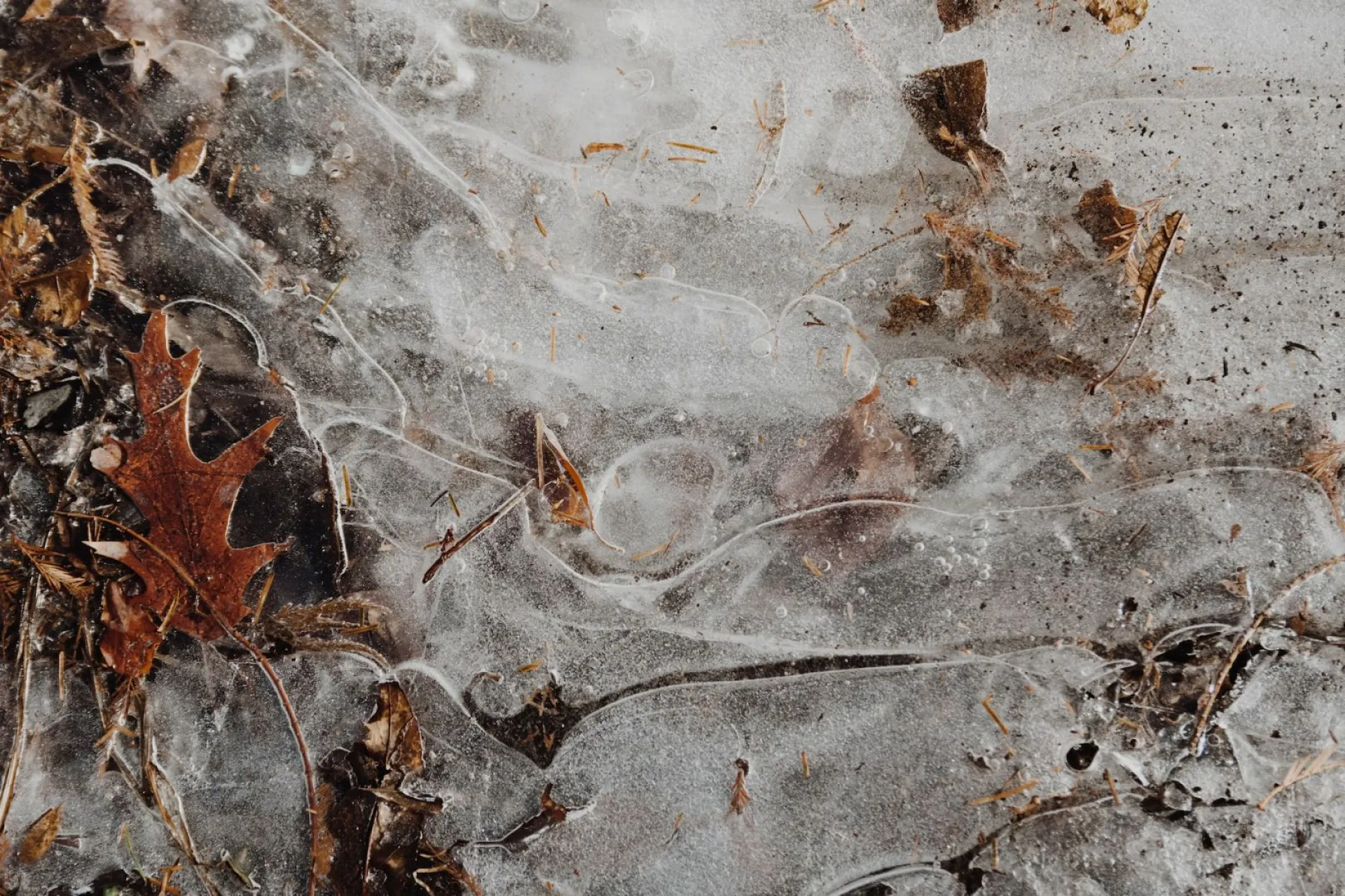 Федот Ледостав: традиции и приметы на 20 ноября Федот Ледостав: традиции и приметы на 20 ноября