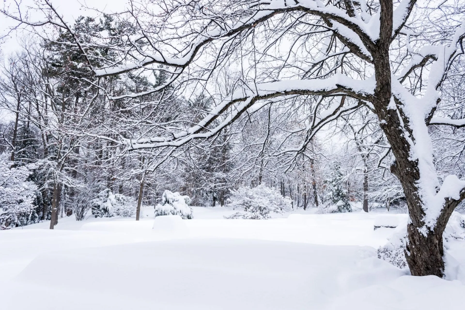 Сретение Господне: традиции и приметы на 15 февраля Сретение Господне: традиции и приметы на 15 февраля