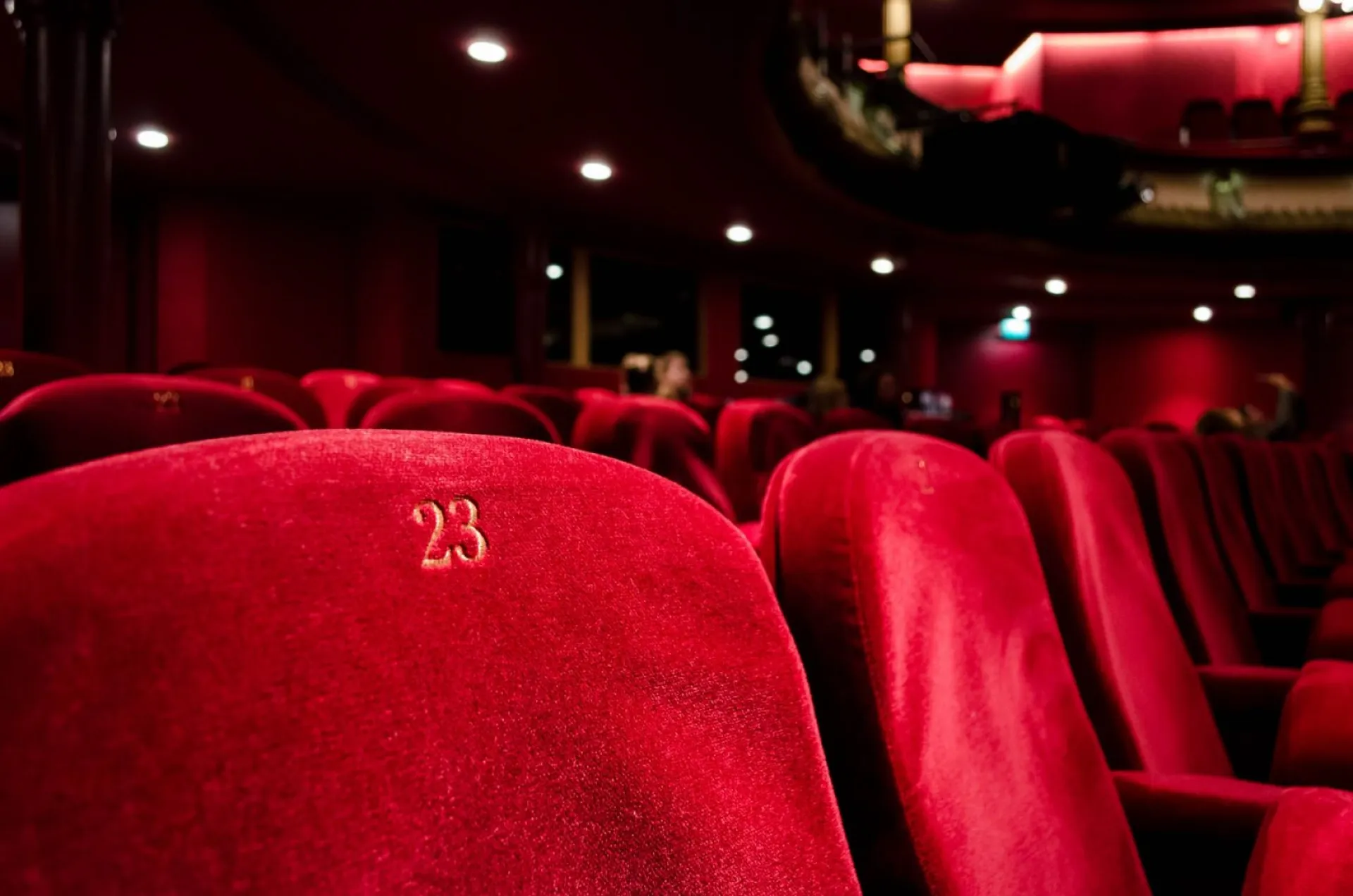 Фильмы Шукшинского кинофестиваля бесплатно покажут в барнаульских кинотеатрах