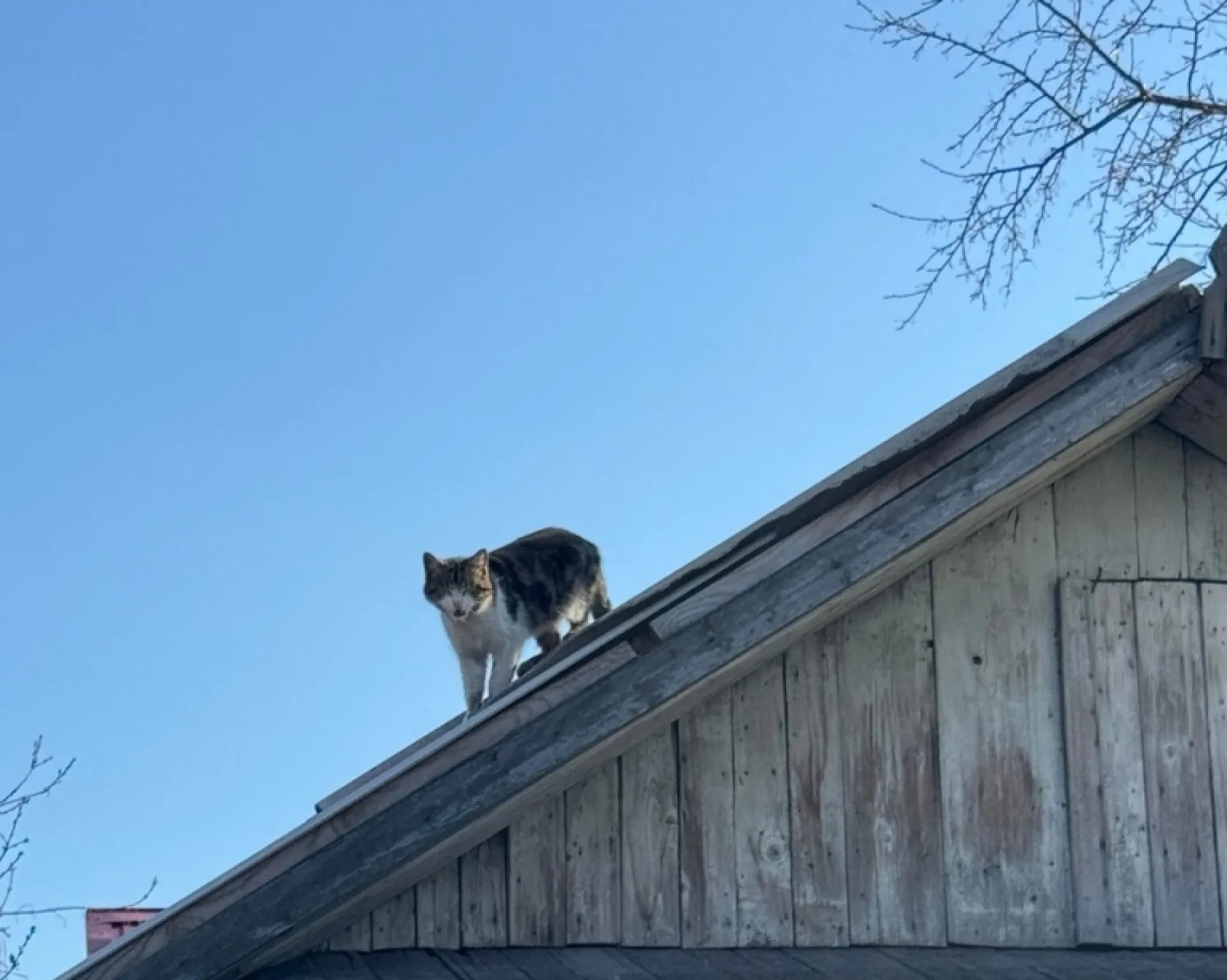 От -5 до +19 градусов: о погоде в выходные в Алтайском крае От -5 до +19 градусов: о погоде в выходные в Алтайском крае
