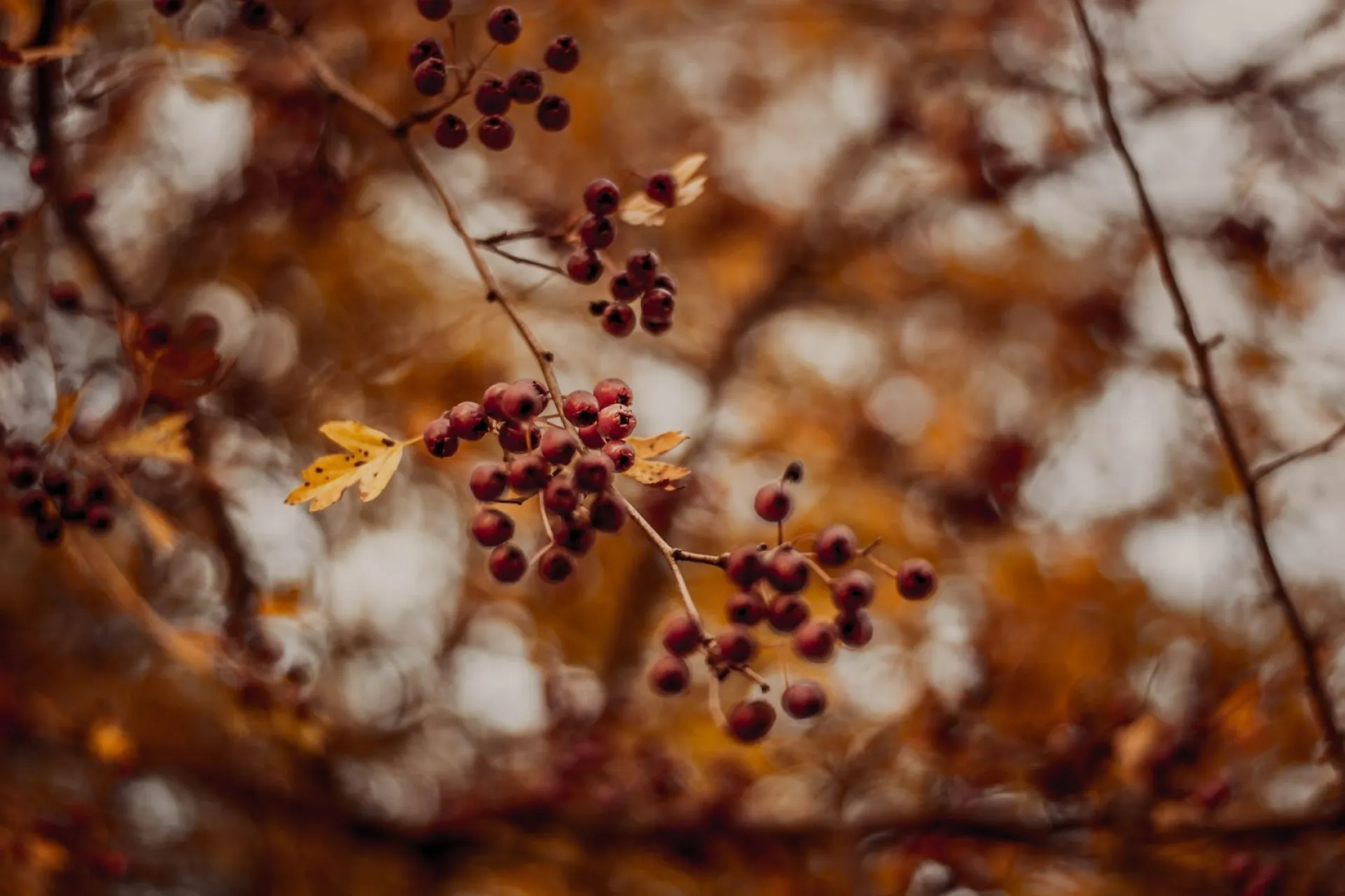 Евлампий Зимоуказатель: традиции и приметы на 23 октября Евлампий Зимоуказатель: традиции и приметы на 23 октября