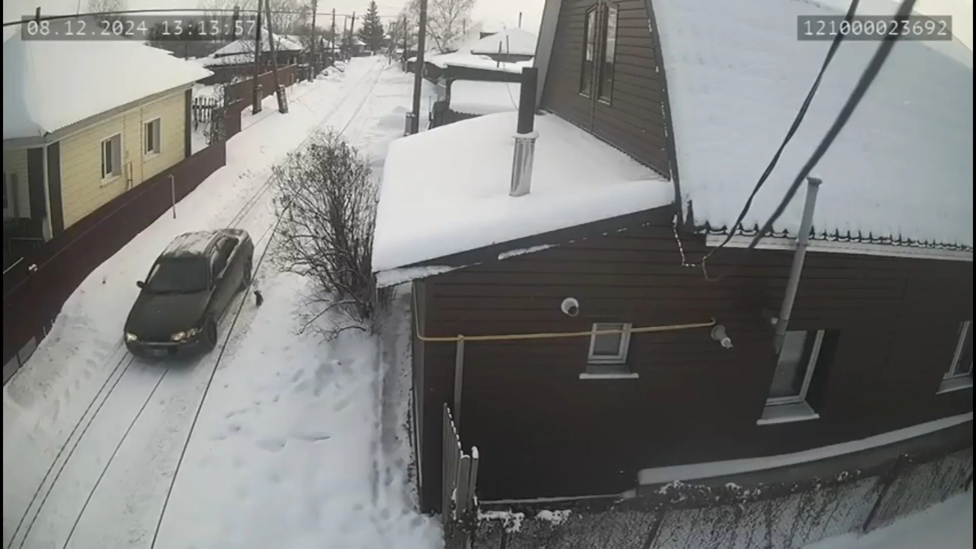 Неизвестные выкинули котёнка из машины в Белоярске