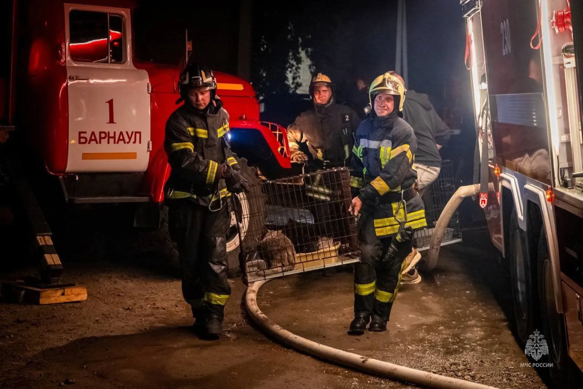 Власти взяли на контроль восстановление приюта «Бусинка» в Барнауле Власти взяли на контроль восстановление приюта «Бусинка» в Барнауле