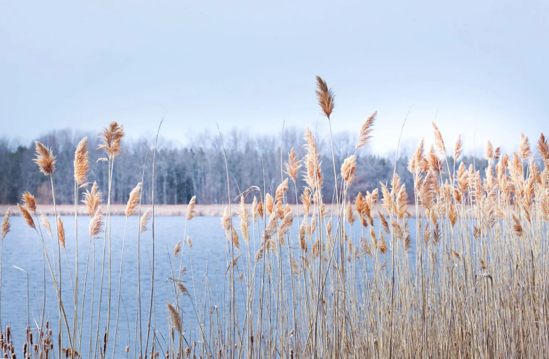 Кириллов день: традиции и приметы на 31 марта Кириллов день: традиции и приметы на 31 марта