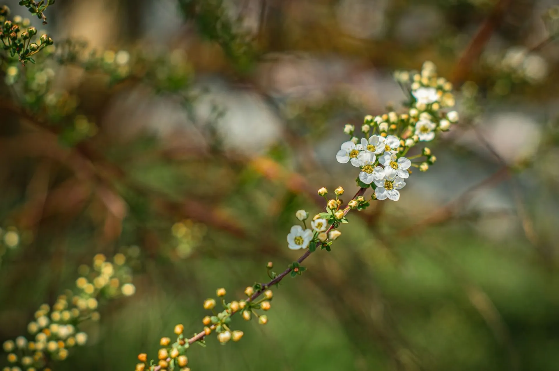Пелагея Заступница: традиции и приметы на 17 мая Пелагея Заступница: традиции и приметы на 17 мая