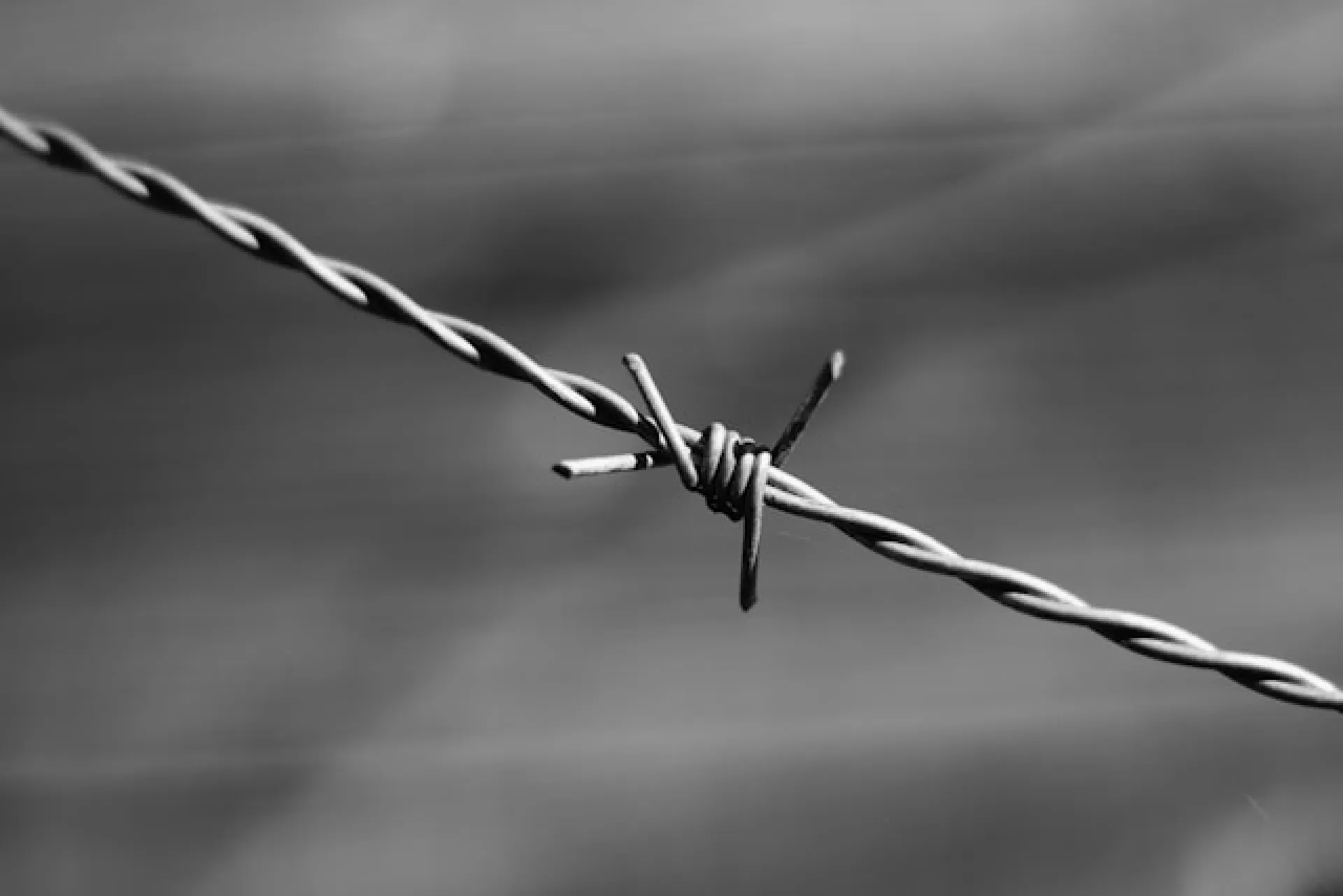 Житель Алтайского края отправится в колонию за призывы к терроризму