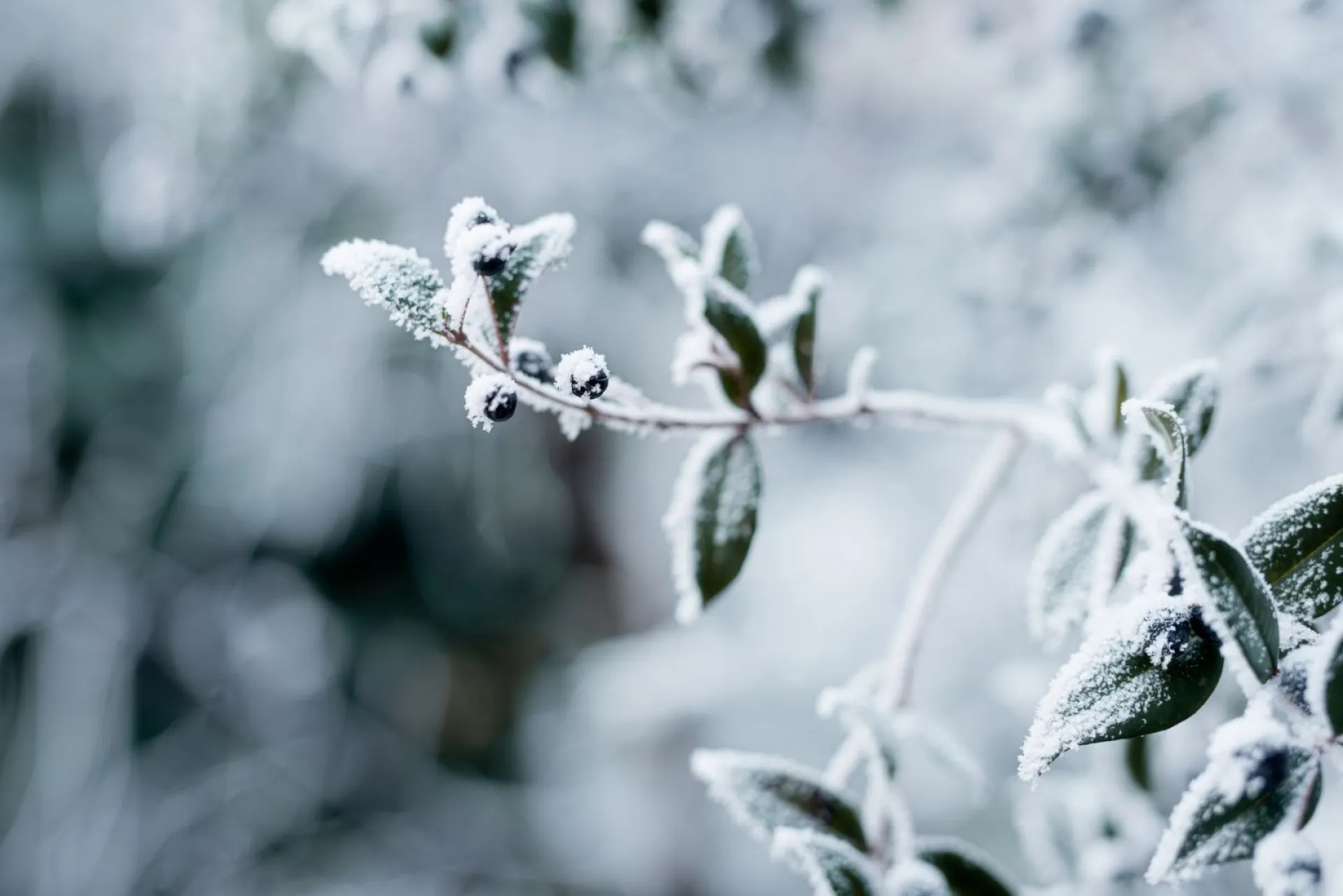 До -3: о погоде в Алтайском крае 5 ноября До -3: о погоде в Алтайском крае 5 ноября