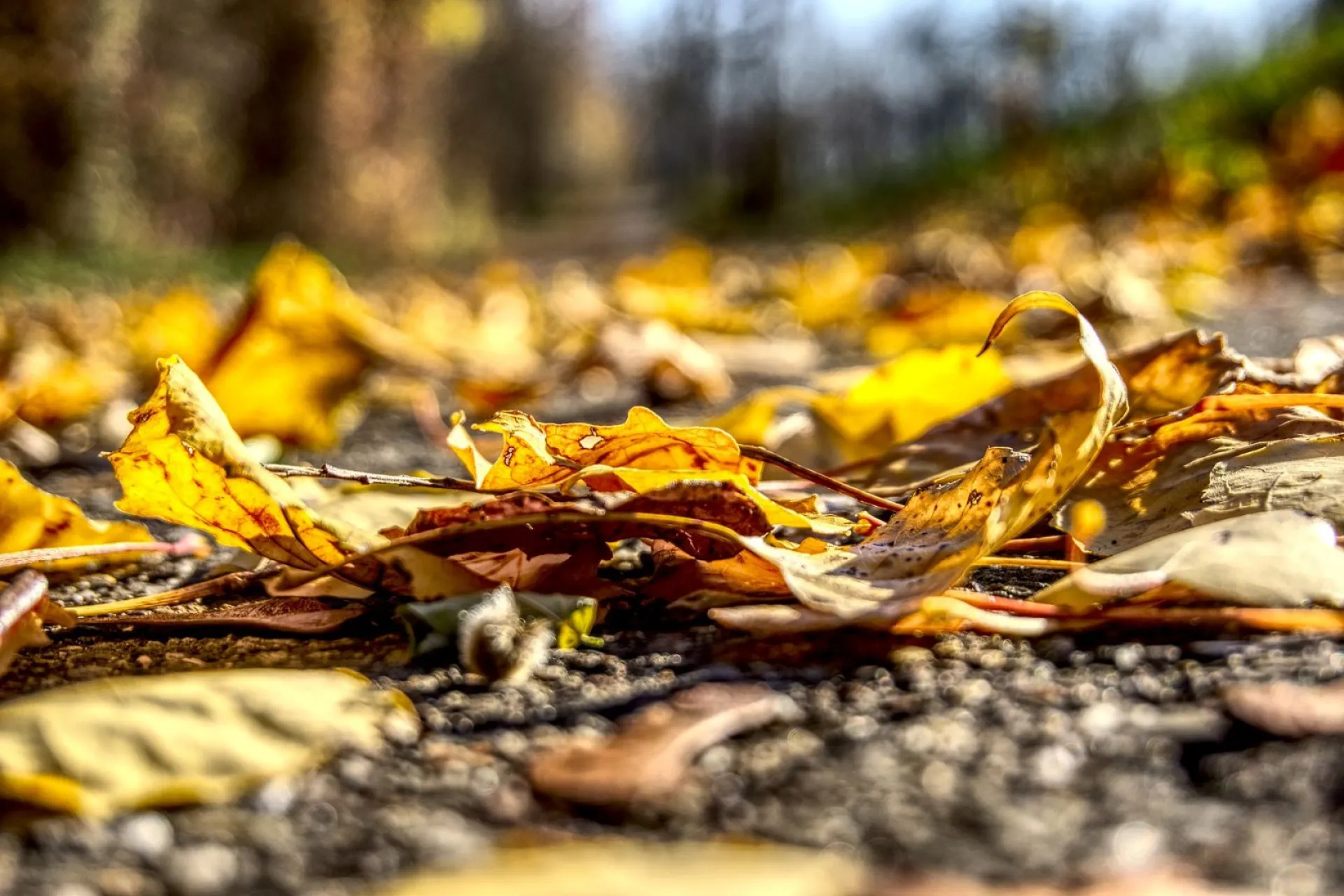 Андрон Звездочет: традиции и приметы на 25 октября Андрон Звездочет: традиции и приметы на 25 октября