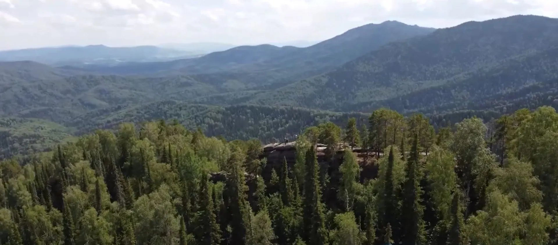 Закон об ответственности за уничтожение редких грибов вступил в силу в России