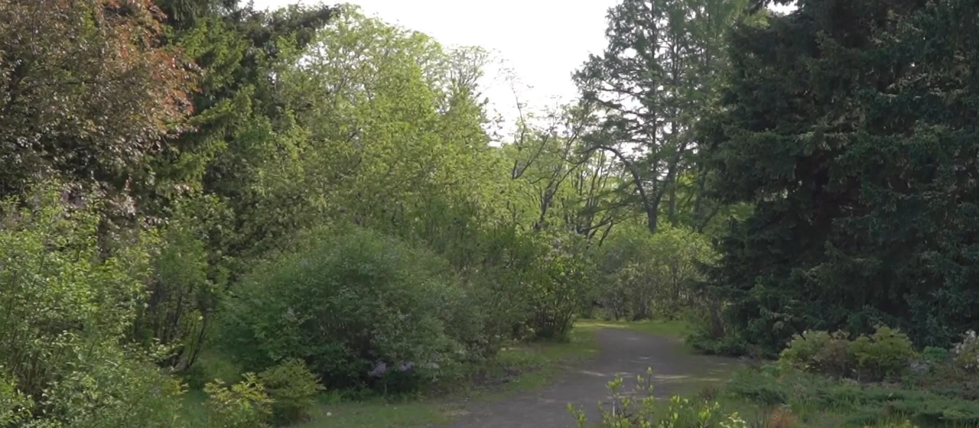 Первый в этом году укус клеща зарегистрировали в Бийске Первый в этом году укус клеща зарегистрировали в Бийске