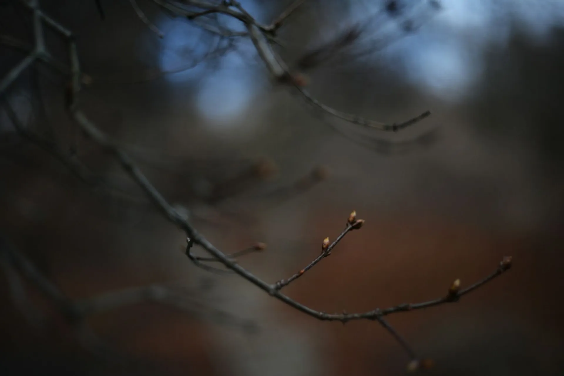 Фотинья Колодезница: традиции и приметы на 2 апреля Фотинья Колодезница: традиции и приметы на 2 апреля