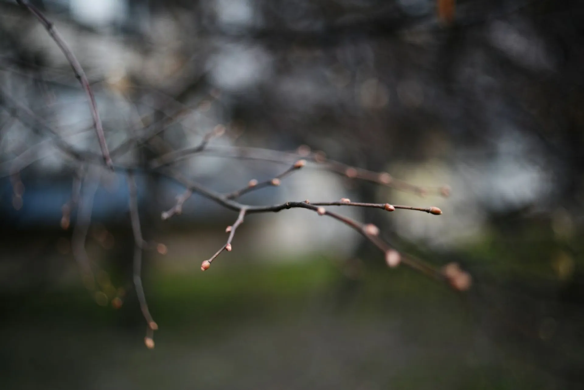 Александров день: традиции и приметы на 28 марта