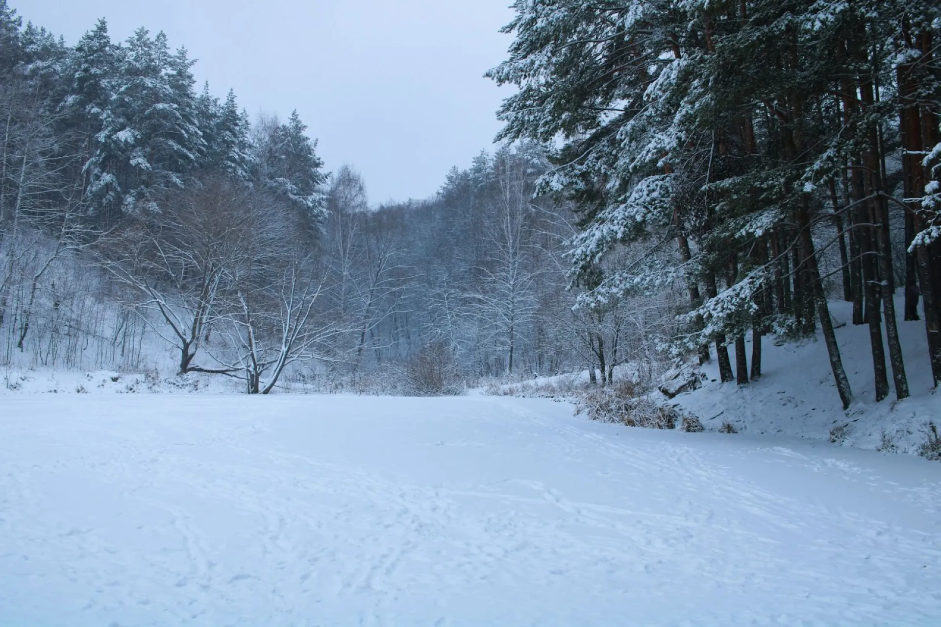 Без осадков: о погоде в Алтайском крае 7 февраля Без осадков: о погоде в Алтайском крае 7 февраля