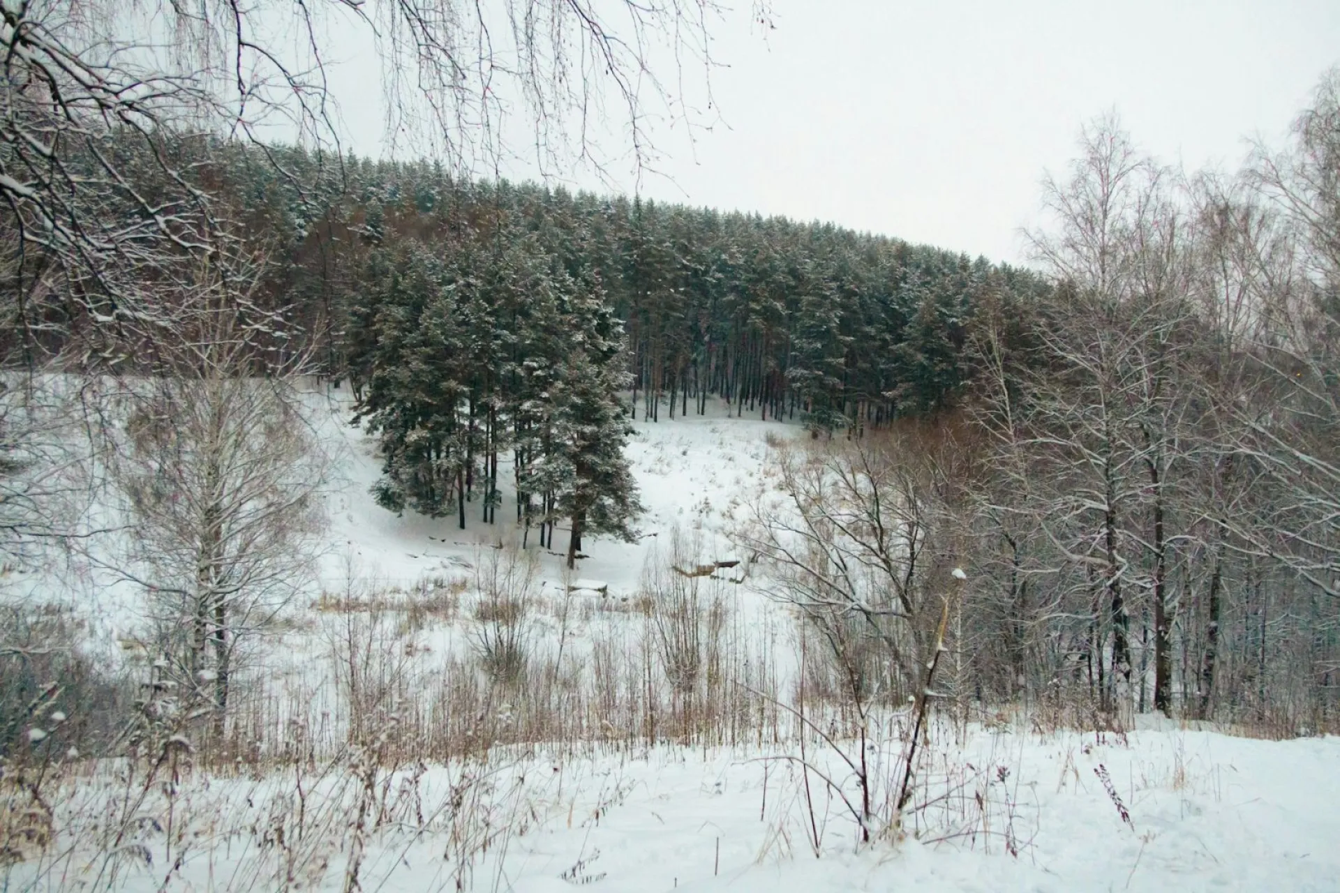 Вукол-телятник: традиции и приметы на 19 февраля Вукол-телятник: традиции и приметы на 19 февраля