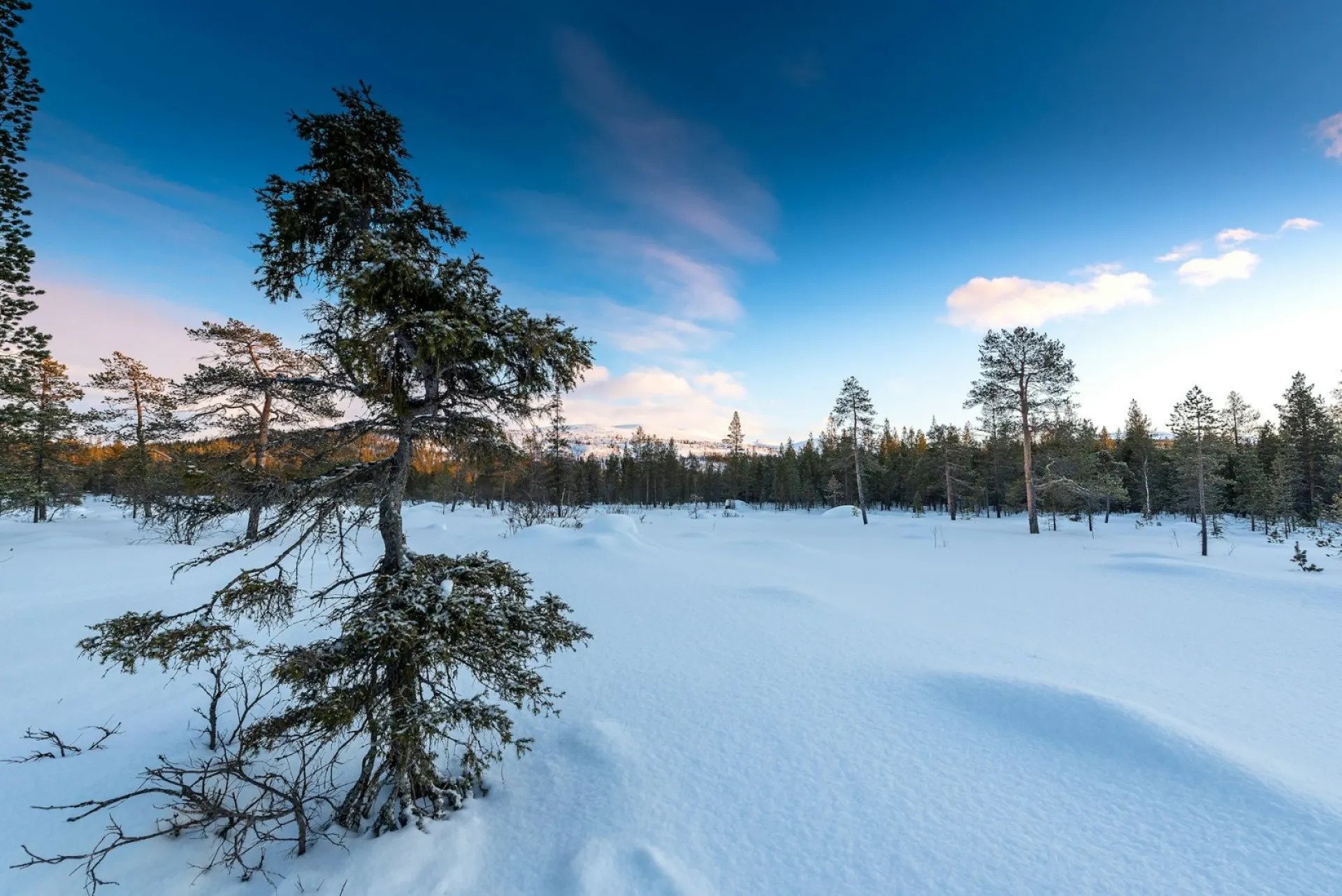 Лев Катанский: традиции и приметы на 5 марта Лев Катанский: традиции и приметы на 5 марта
