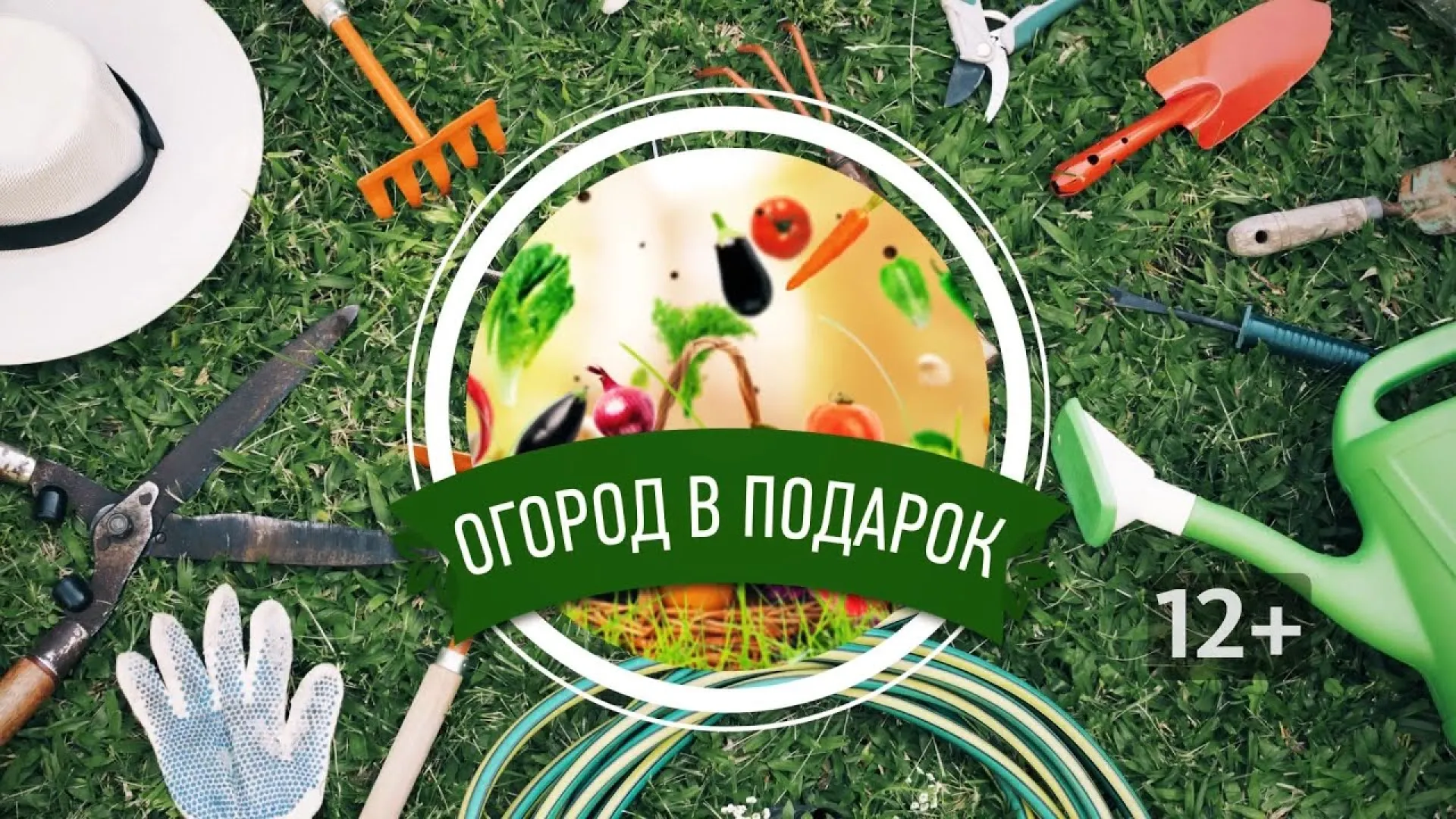 «Огород в подарок»: как правильно высаживать томаты