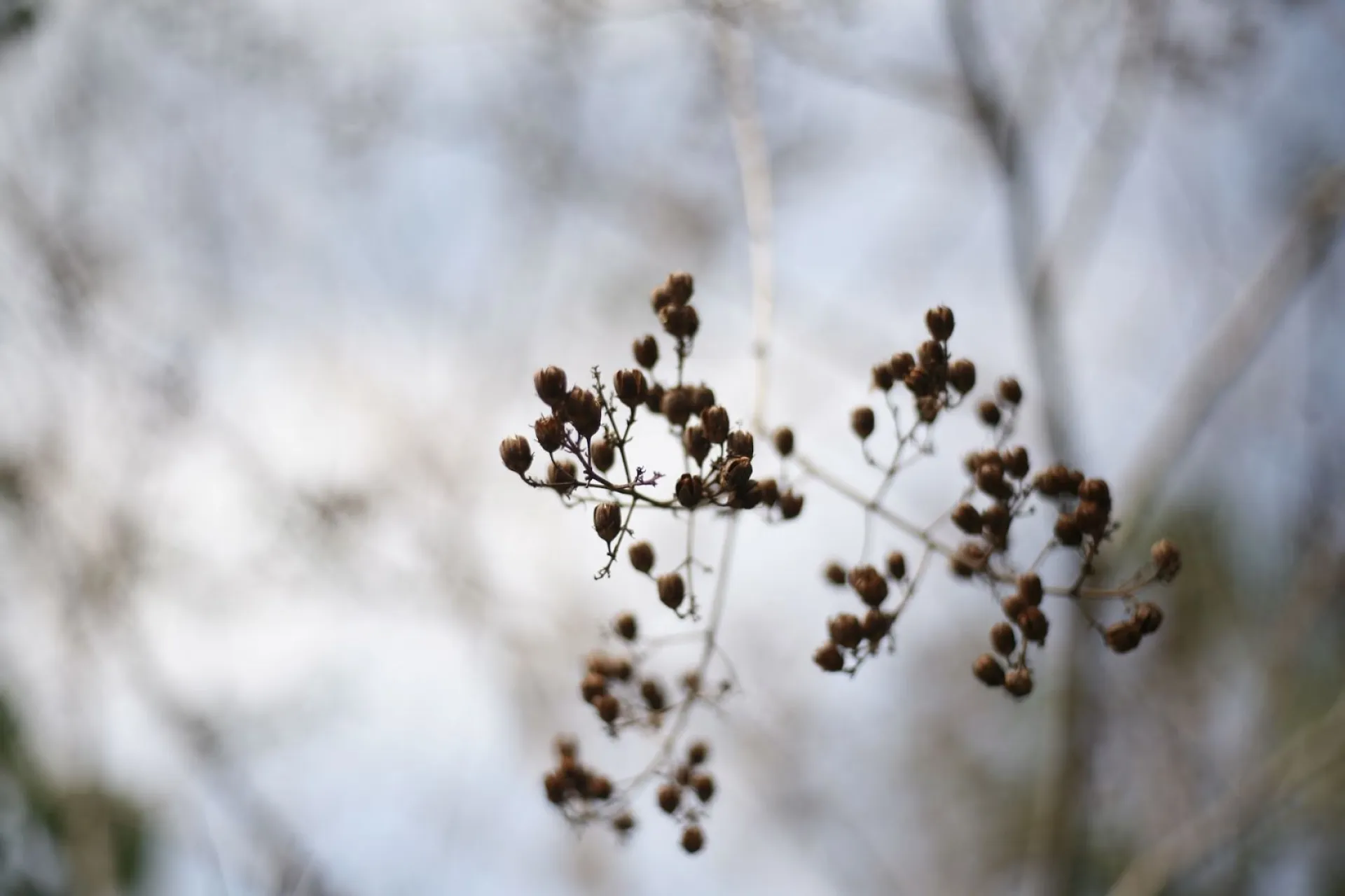 До -1: о погоде в Алтайском крае 1 ноября До -1: о погоде в Алтайском крае 1 ноября