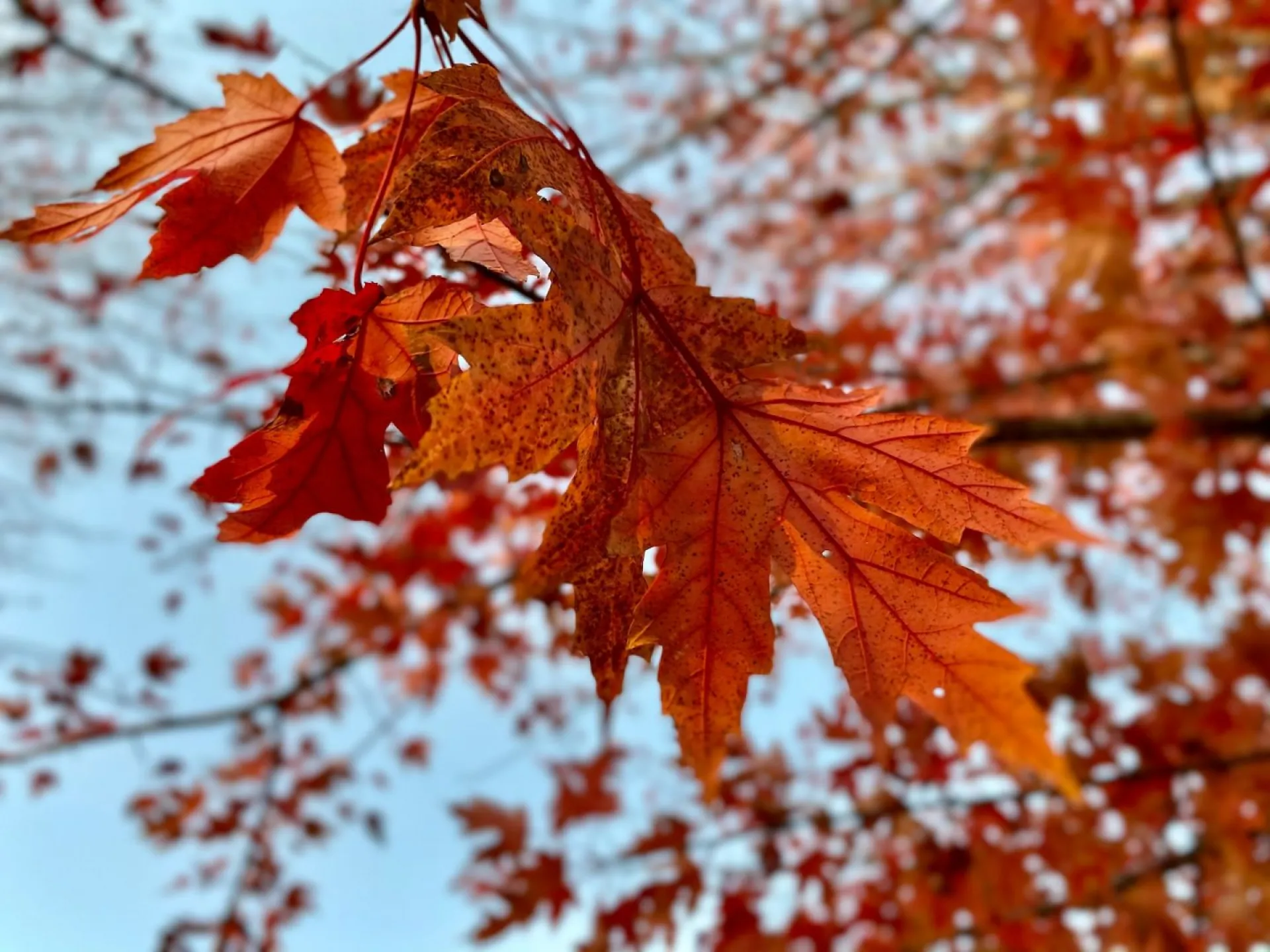 Людмилин день: традиции и приметы на 29 сентября Людмилин день: традиции и приметы на 29 сентября
