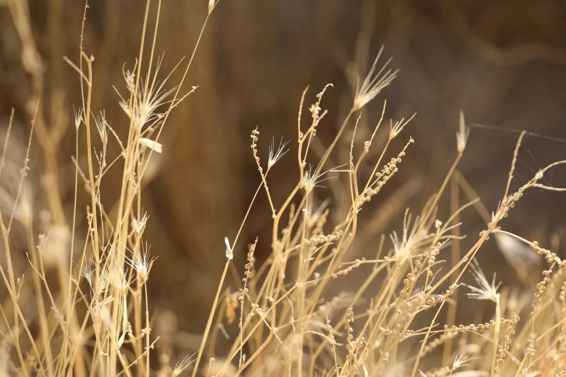 Натальин день: традиции и приметы на 8 сентября Натальин день: традиции и приметы на 8 сентября