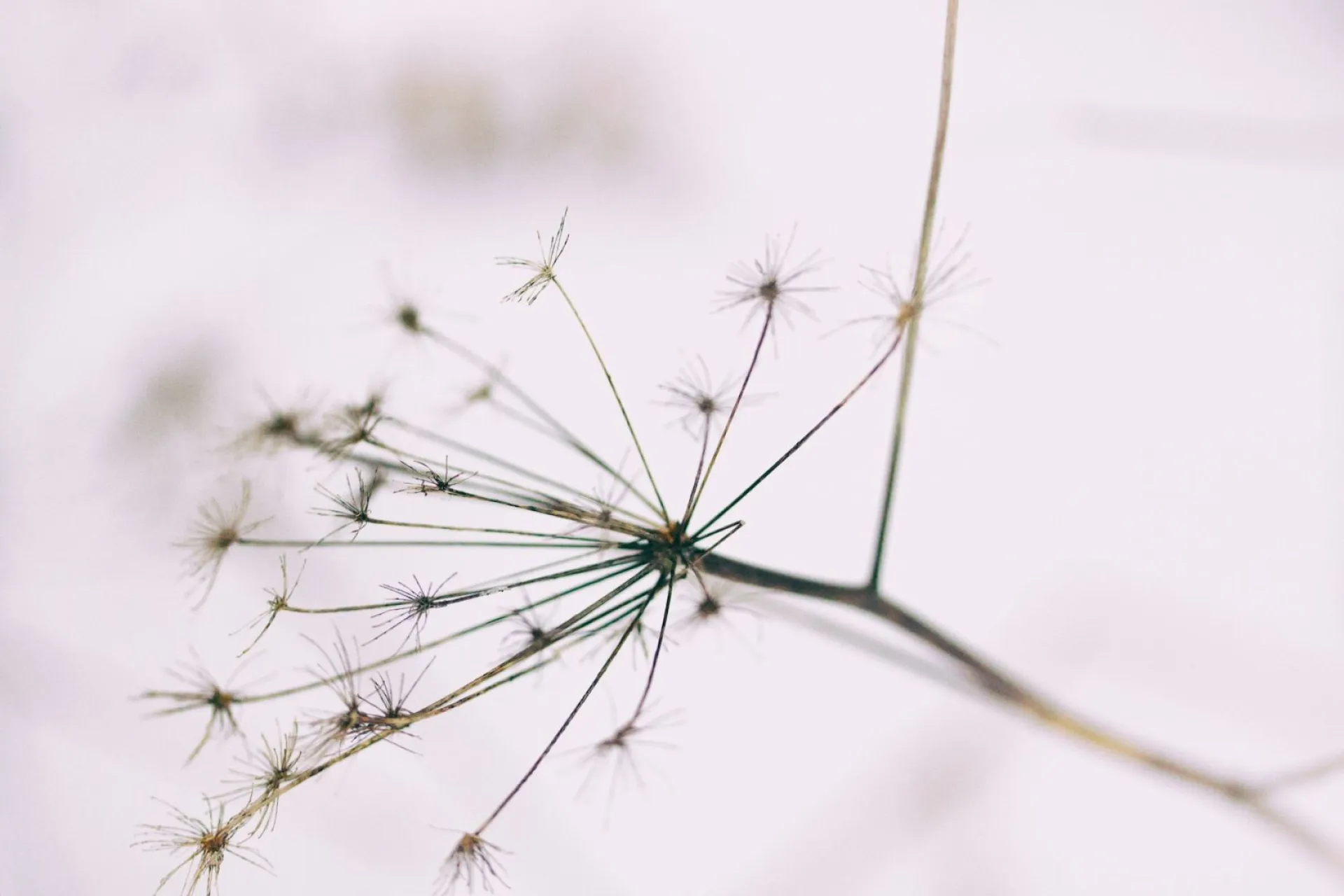 Ионов день: традиции и приметы на 18 ноября