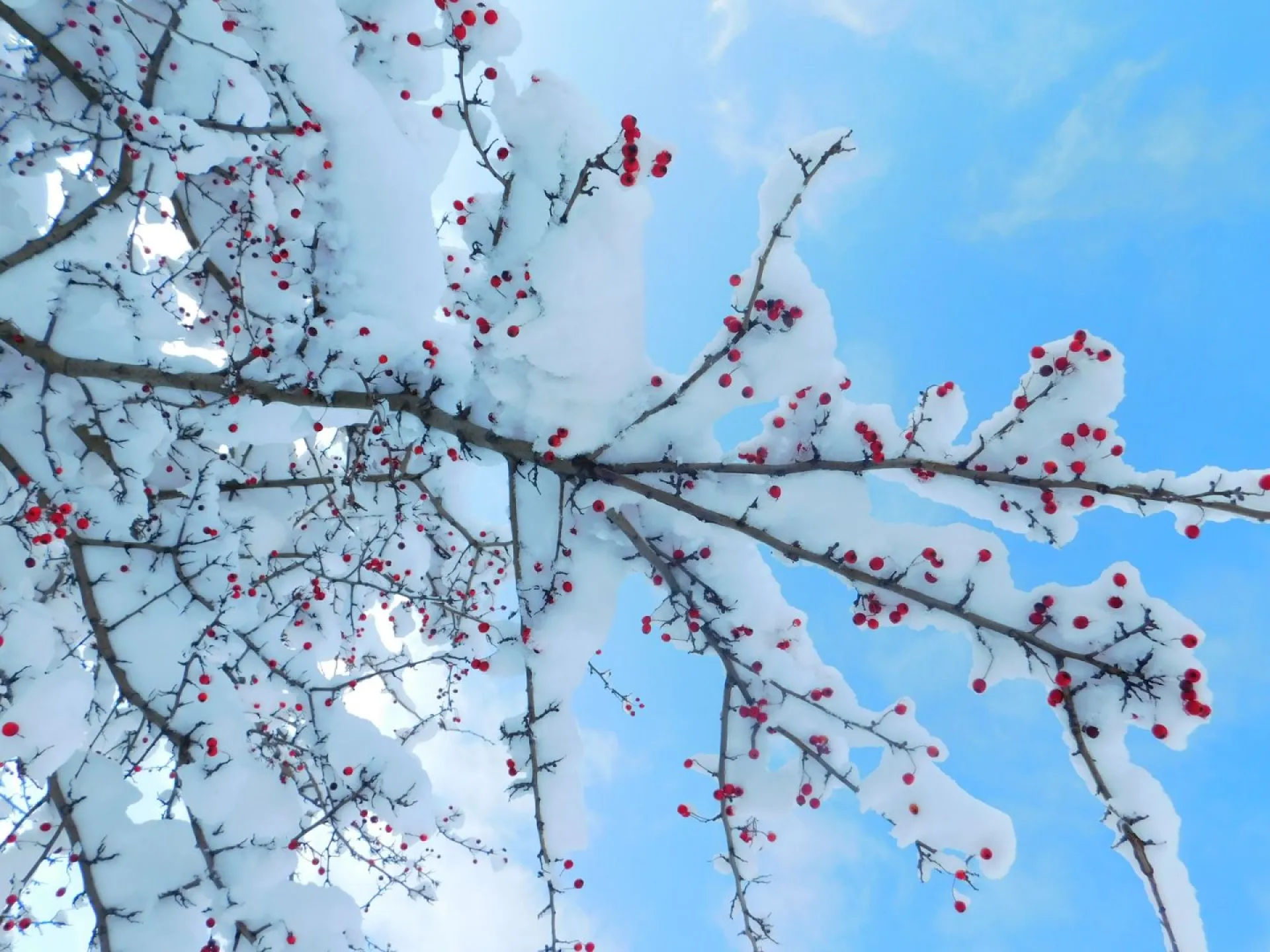 Ярилин день: традиции и приметы на 3 марта Ярилин день: традиции и приметы на 3 марта