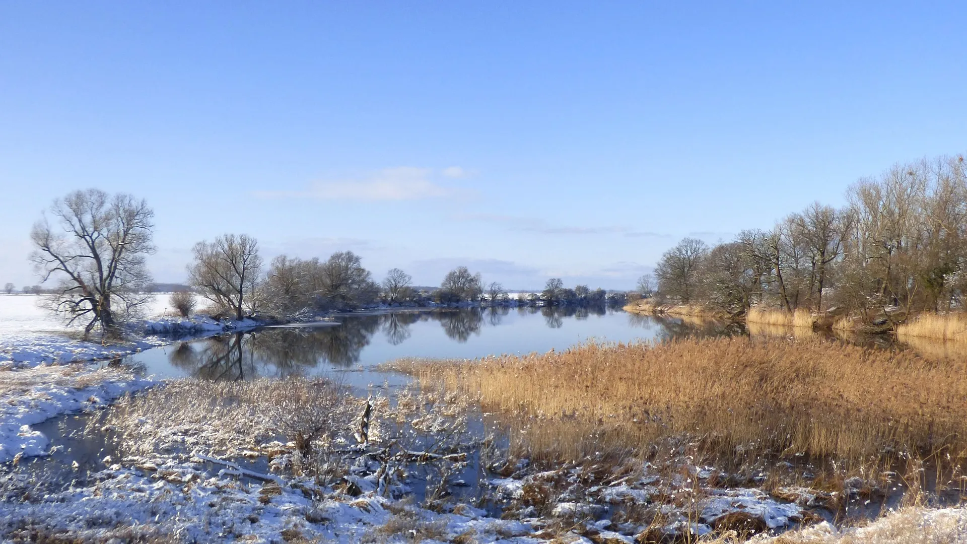 До +7: о погоде в Алтайском крае 10 ноября