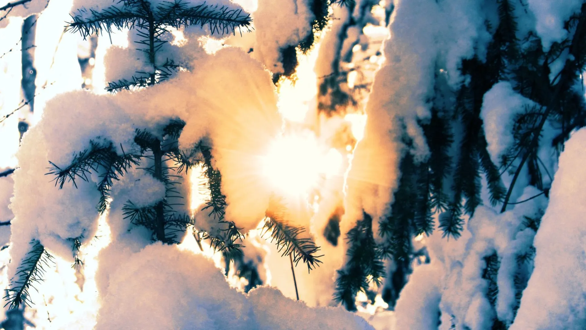 Небольшой снег: о погоде в Алтайском крае 19 декабря Небольшой снег: о погоде в Алтайском крае 19 декабря