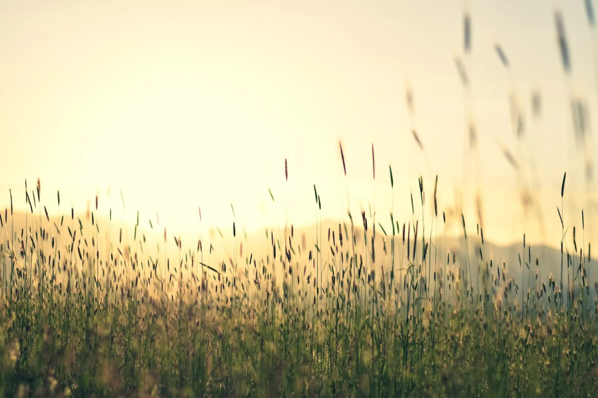 Евпатий Коловрат: традиции и приметы на 24 августа Евпатий Коловрат: традиции и приметы на 24 августа