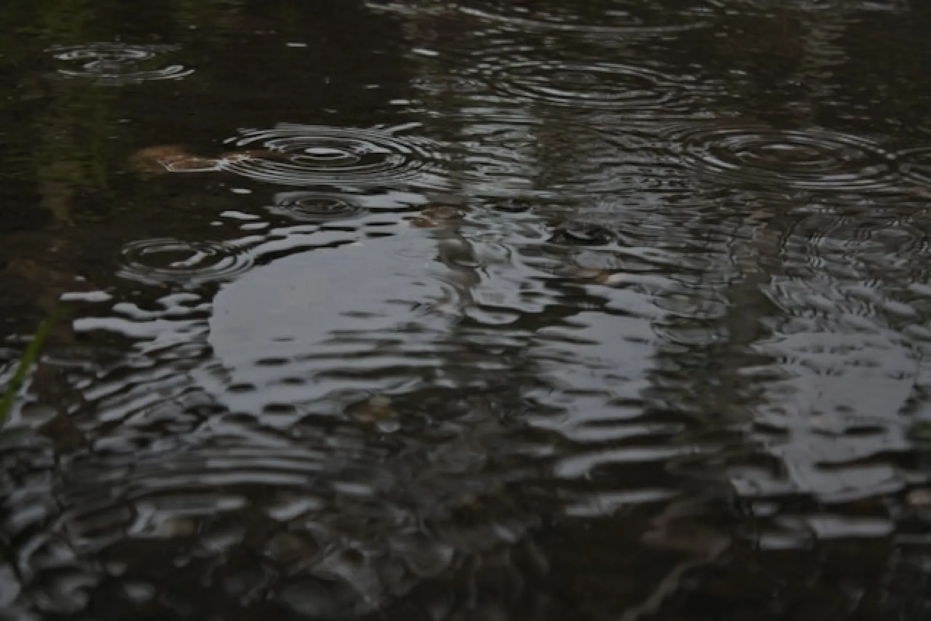 Что делать, если вас окатили водой из лужи, рассказали в Госавтоинспекции Барнаула