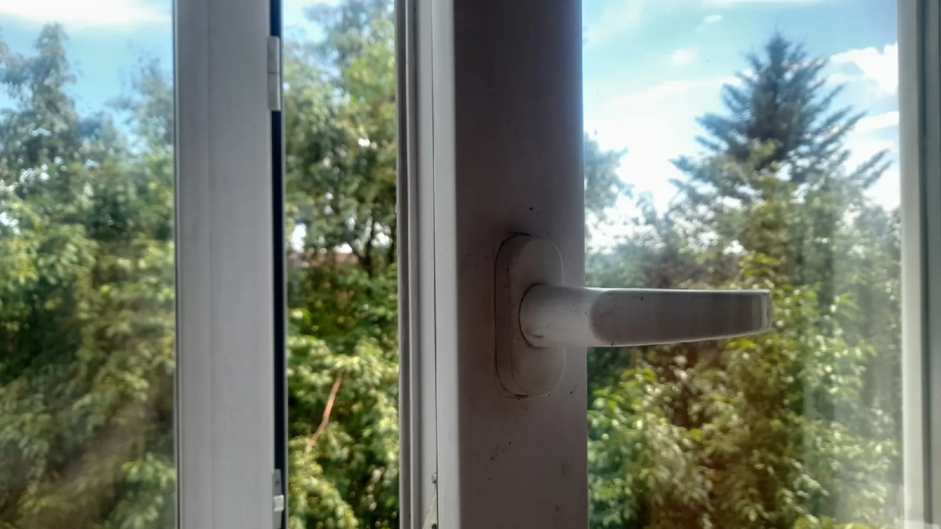 +30 и гроза: о погоде в Алтайском крае в выходные +30 и гроза: о погоде в Алтайском крае в выходные