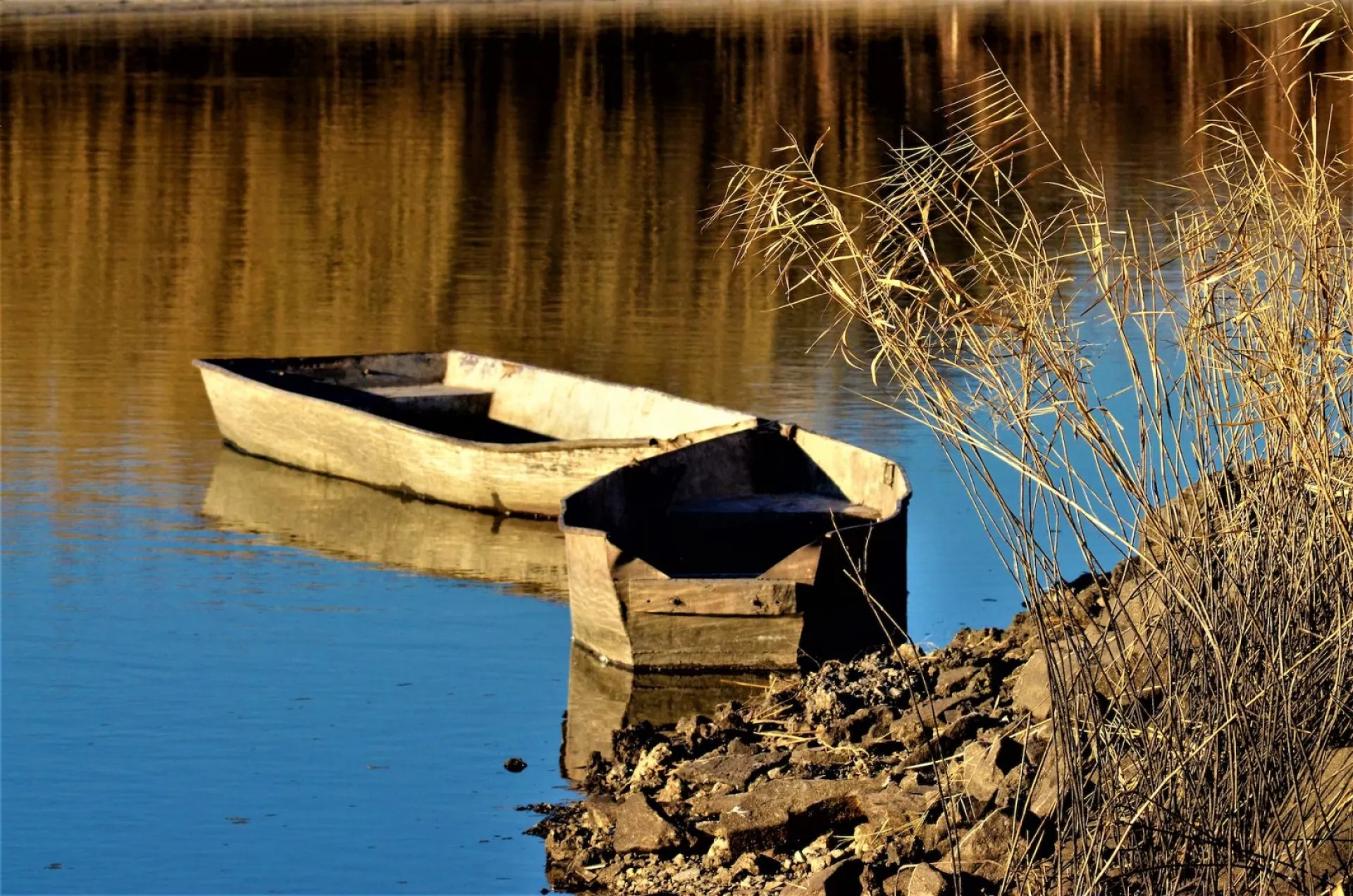 Трофим Бессонник: традиции и приметы на 5 августа Трофим Бессонник: традиции и приметы на 5 августа