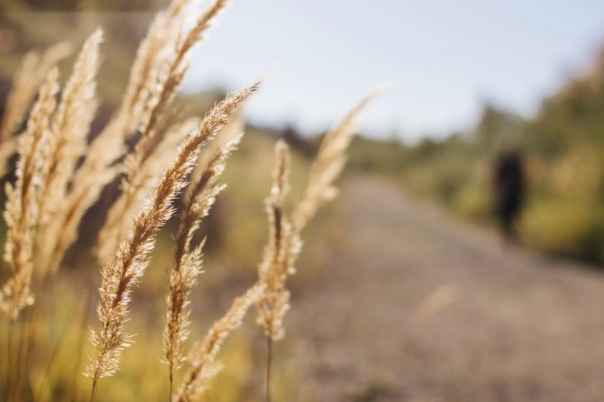 Небольшие дожди: о погоде в Алтайском крае 18 августа Небольшие дожди: о погоде в Алтайском крае 18 августа