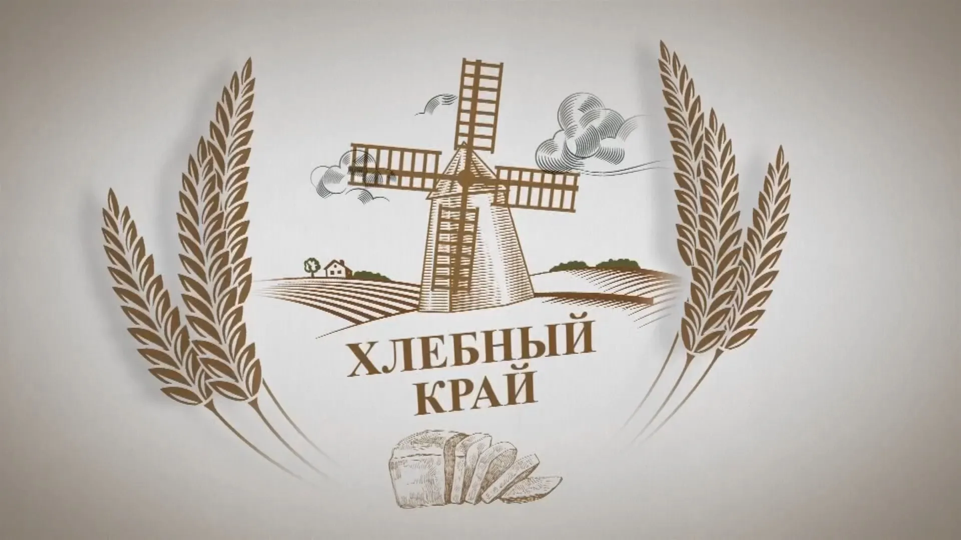 «Хлебный край». Екатерина Быстрова: как опорные населённые пункты изменят жизнь сельчан